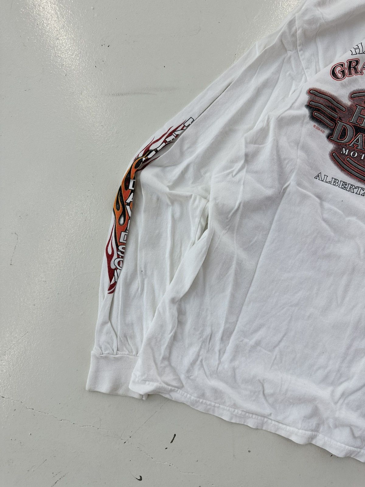 Harley Davidson Harley Davidson Alberta Sweatshirt Size US M / EU 48-50 / 2 - 6 Thumbnail