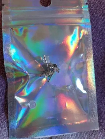 Jewelry Koizumi x Maria Black Star earrings （1pairs） Size ONE SIZE - 2 Thumbnail