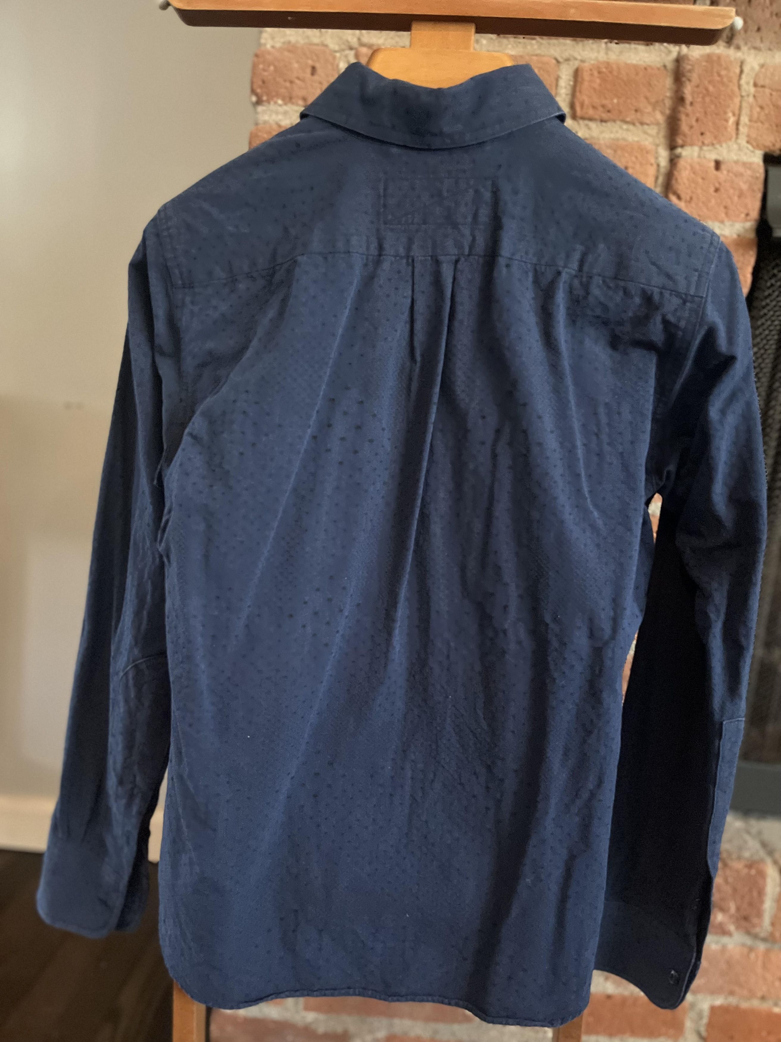 Rogue Territory Rogue Territory Shirt Blue Swiss Dot Button Down Cotton Size US M / EU 48-50 / 2 - 3 Thumbnail