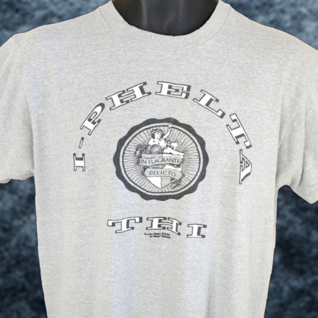 Vintage VINTAGE Screen Stars T-Shirt Mens Size M In Flagrante Delicto Joke 80s USA Gray Short Sleeve Crew Neck College Greek Humor Size US M / EU 48-50 / 2 - 1 Thumbnail