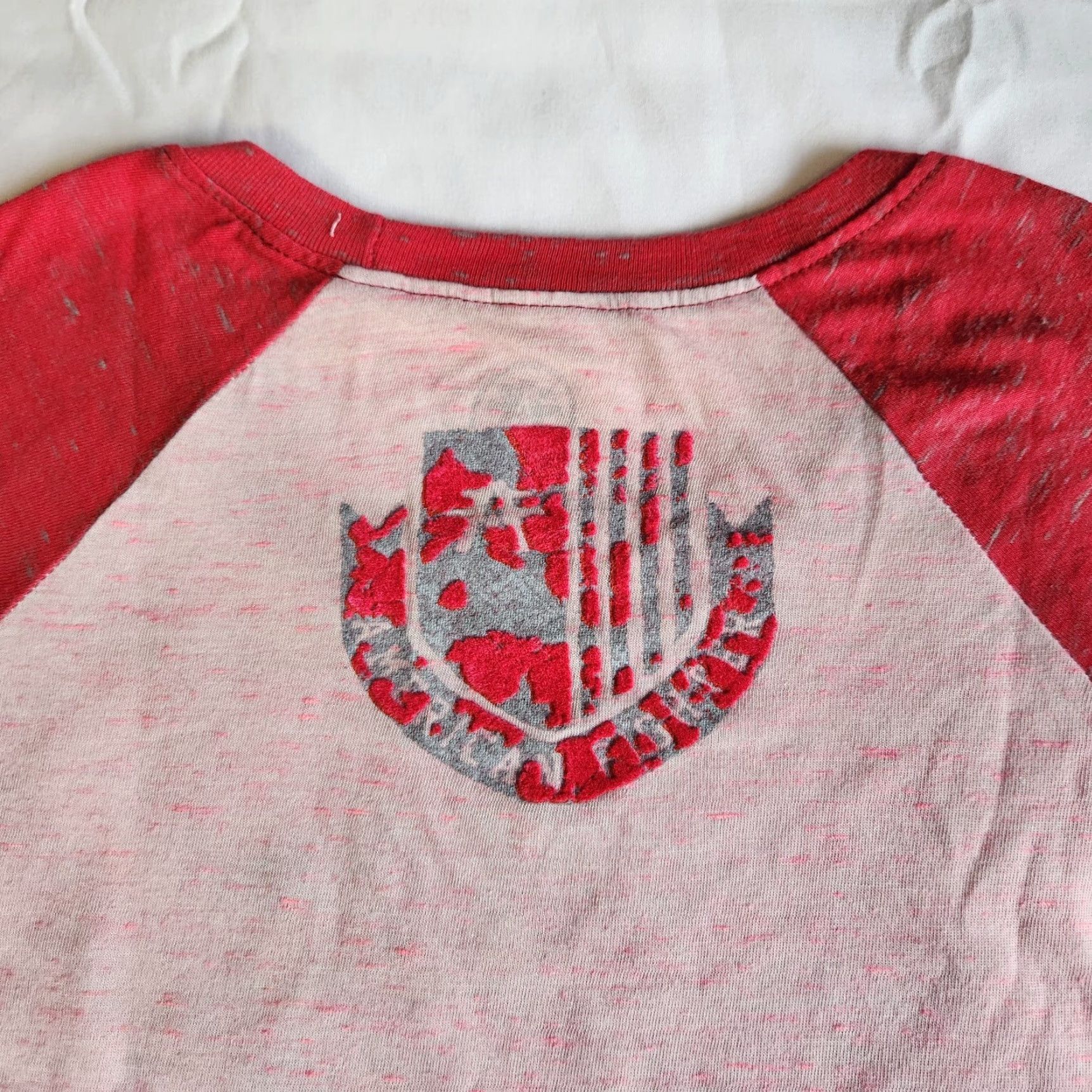 Vintage American Fighter Affliction Dalton Artisan XS Grey Pink Raglan Graphic T-Shirt Woman's MMA Gymwear Athletic Biker Tee Regular Size XS / US 0-2 / IT 36-38 - 4 Thumbnail