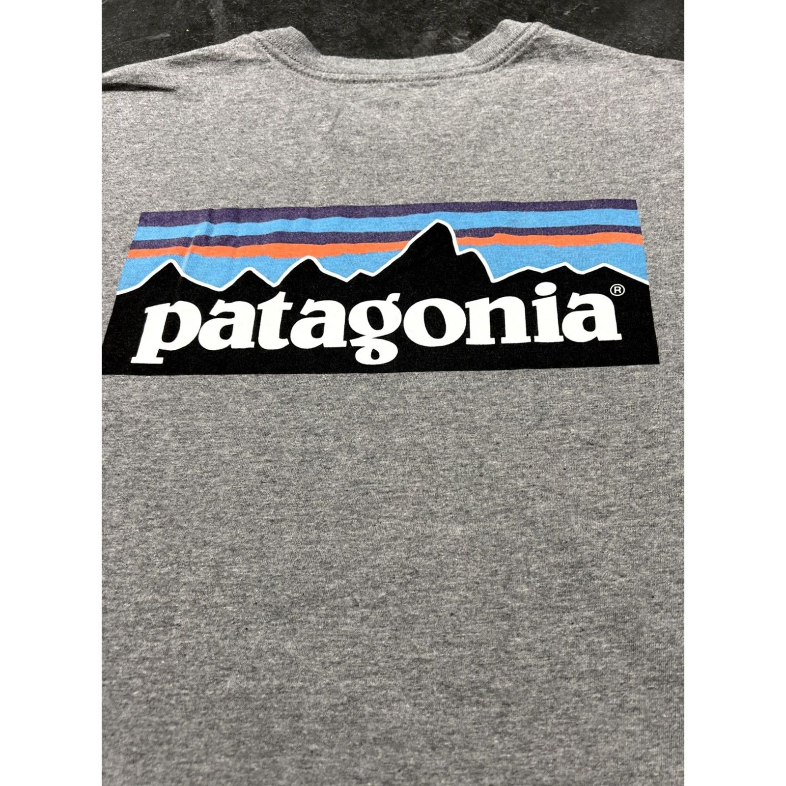 Patagonia Patagonia Shirt Mens Large L Gray Graphic Tee Size US L / EU 52-54 / 3 - 2 Thumbnail