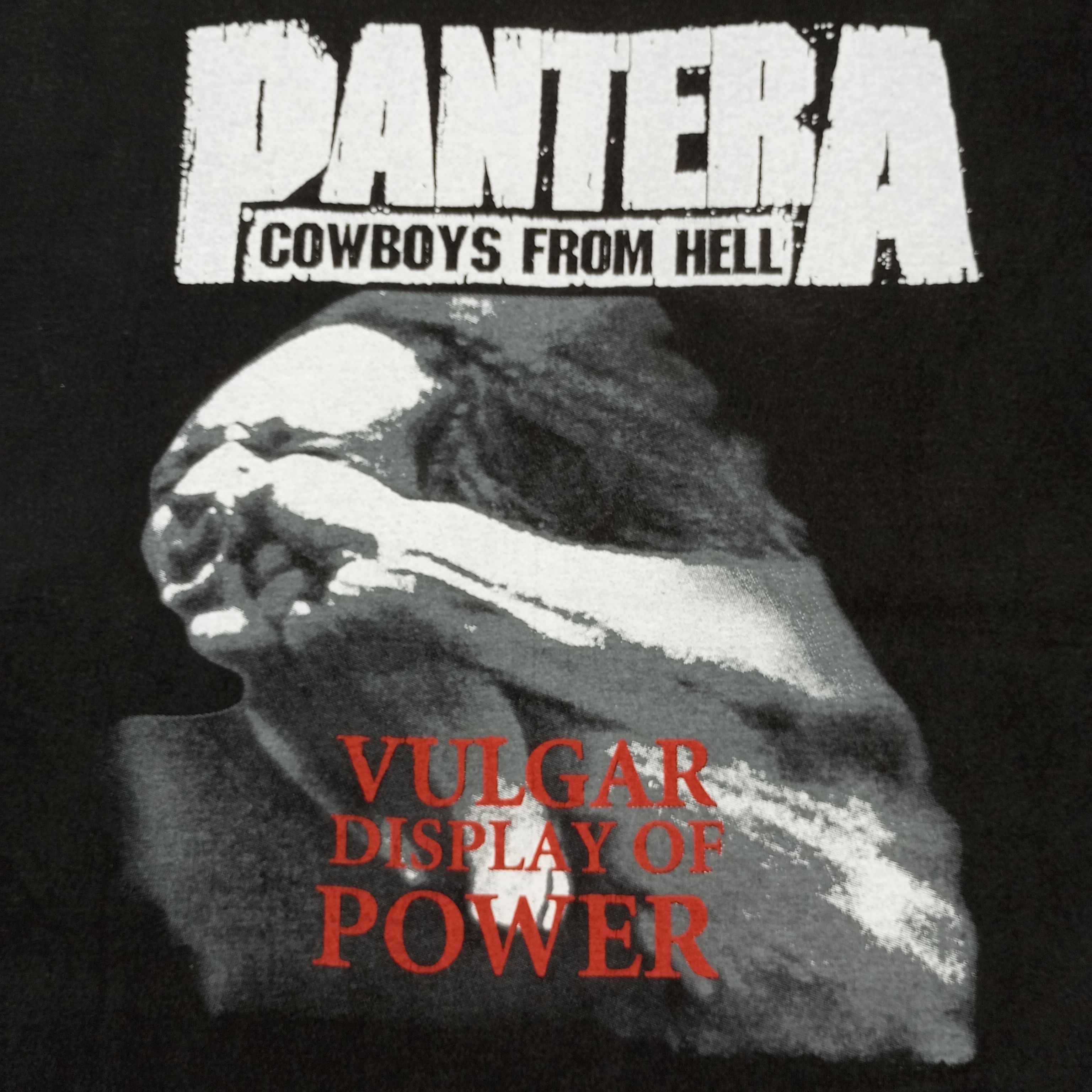 Band Tees × Vintage Pantera Cowboys From Hell Rock Band Tshirt Size US L / EU 52-54 / 3 - 2 Thumbnail