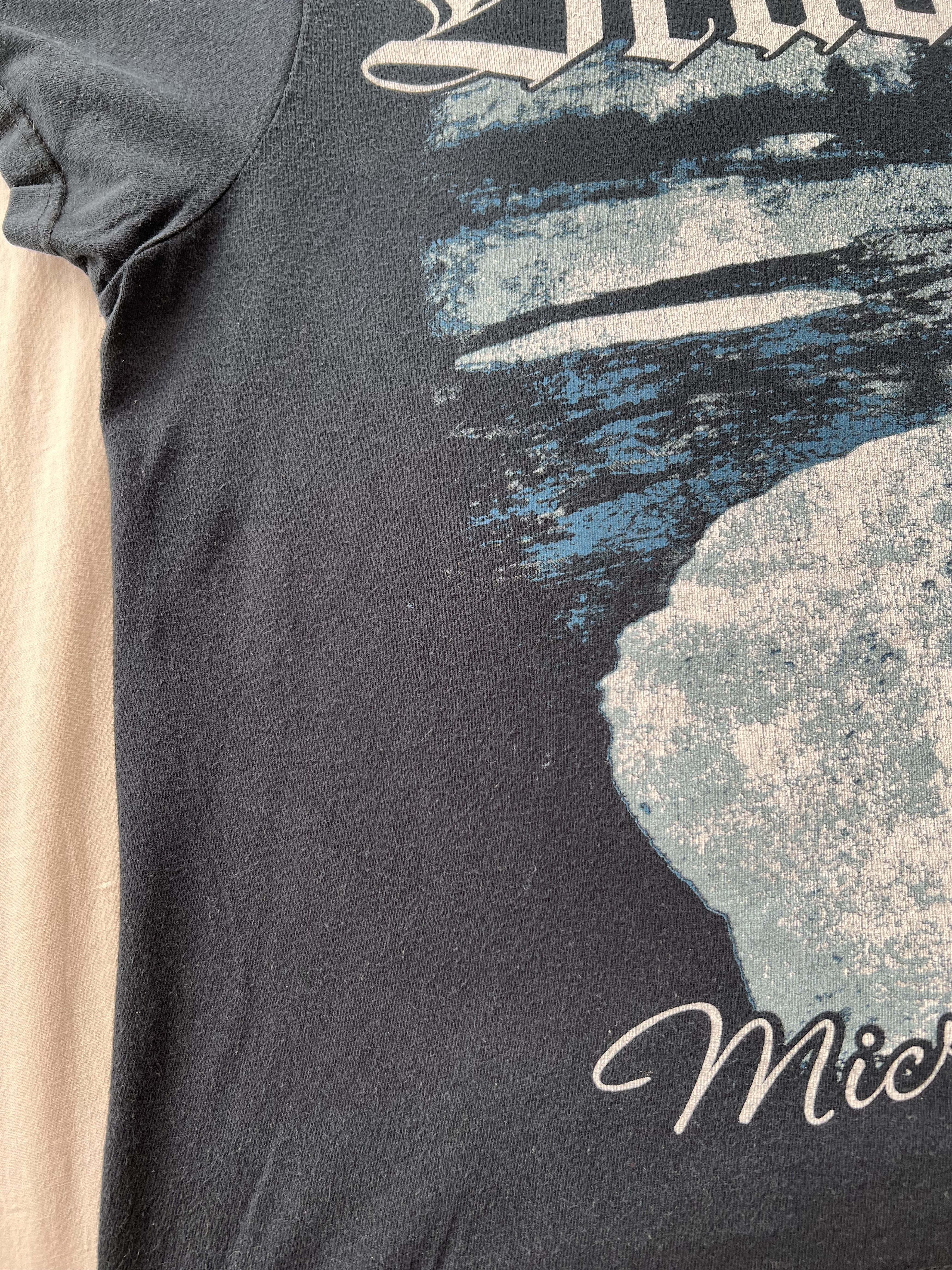 Band Tees Vintage 2000s Drudkh Microcosmos Black Metal Band T-shirt Size US S / EU 44-46 / 1 - 6 Thumbnail