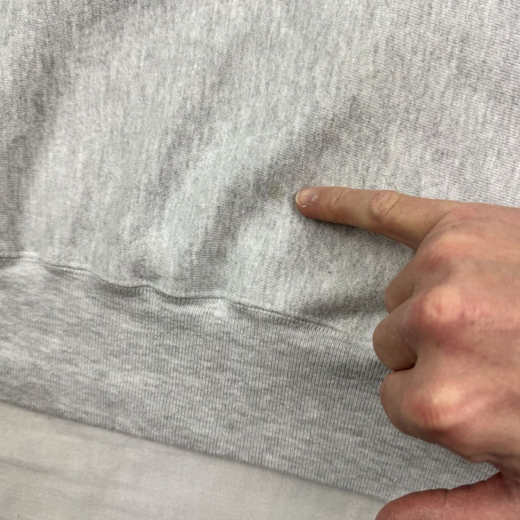 Champion VINTAGE Champion Reverse Weave Sweatshirt Men XL Gray Nature Animals Y2K Crew Neck Pullover Adults Mens Size US XL / EU 56 / 4 - 7 Thumbnail