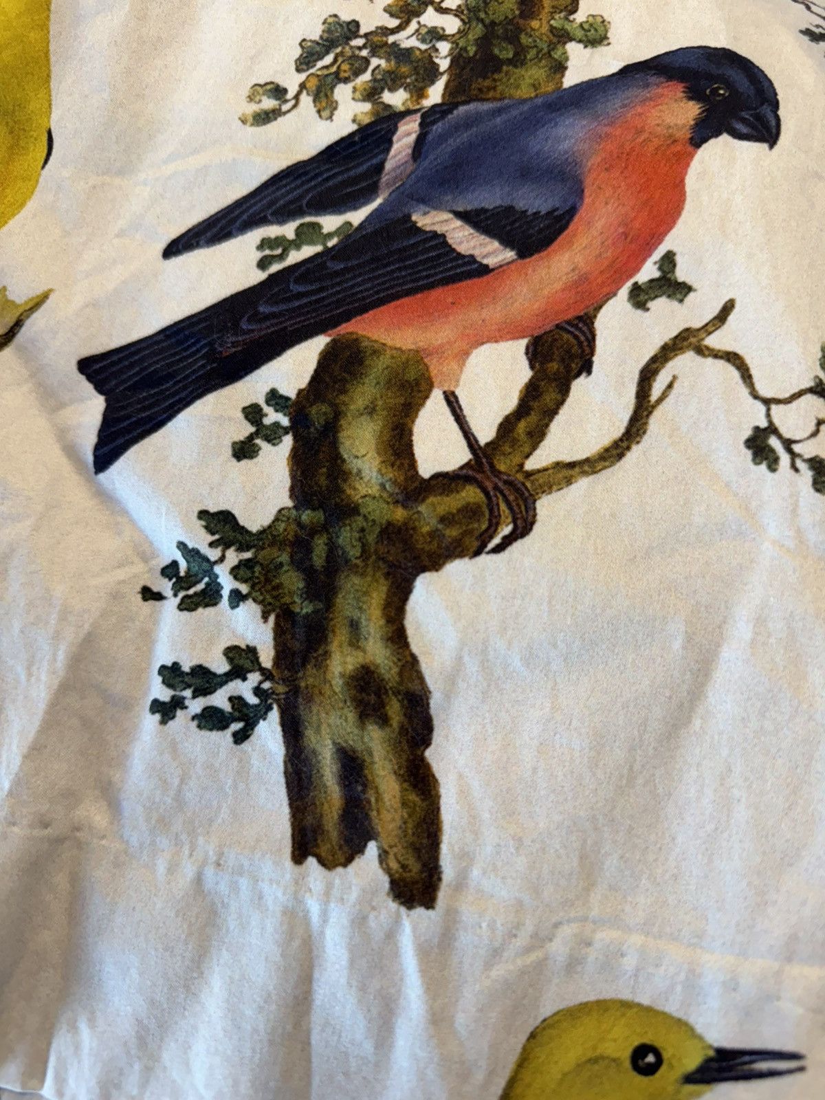 Paul Harnden Shoemakers Bird print Cotton Shorts Size US 36 / EU 52 - 5 Thumbnail