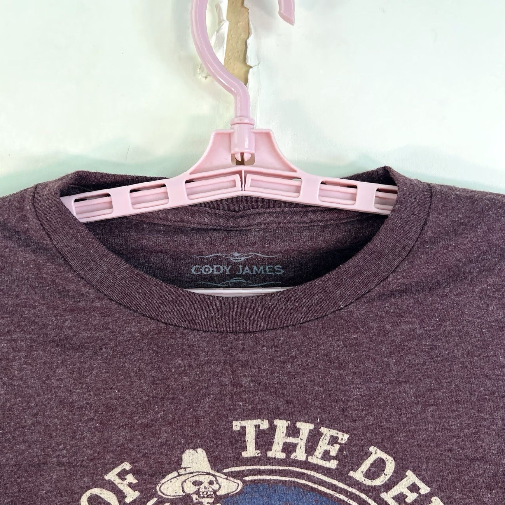 Cody James Cody James Rodeo Of The Defeated Cropped T-Shirt Womens Size L Mauve Size L / US 10 / IT 46 - 3 Thumbnail
