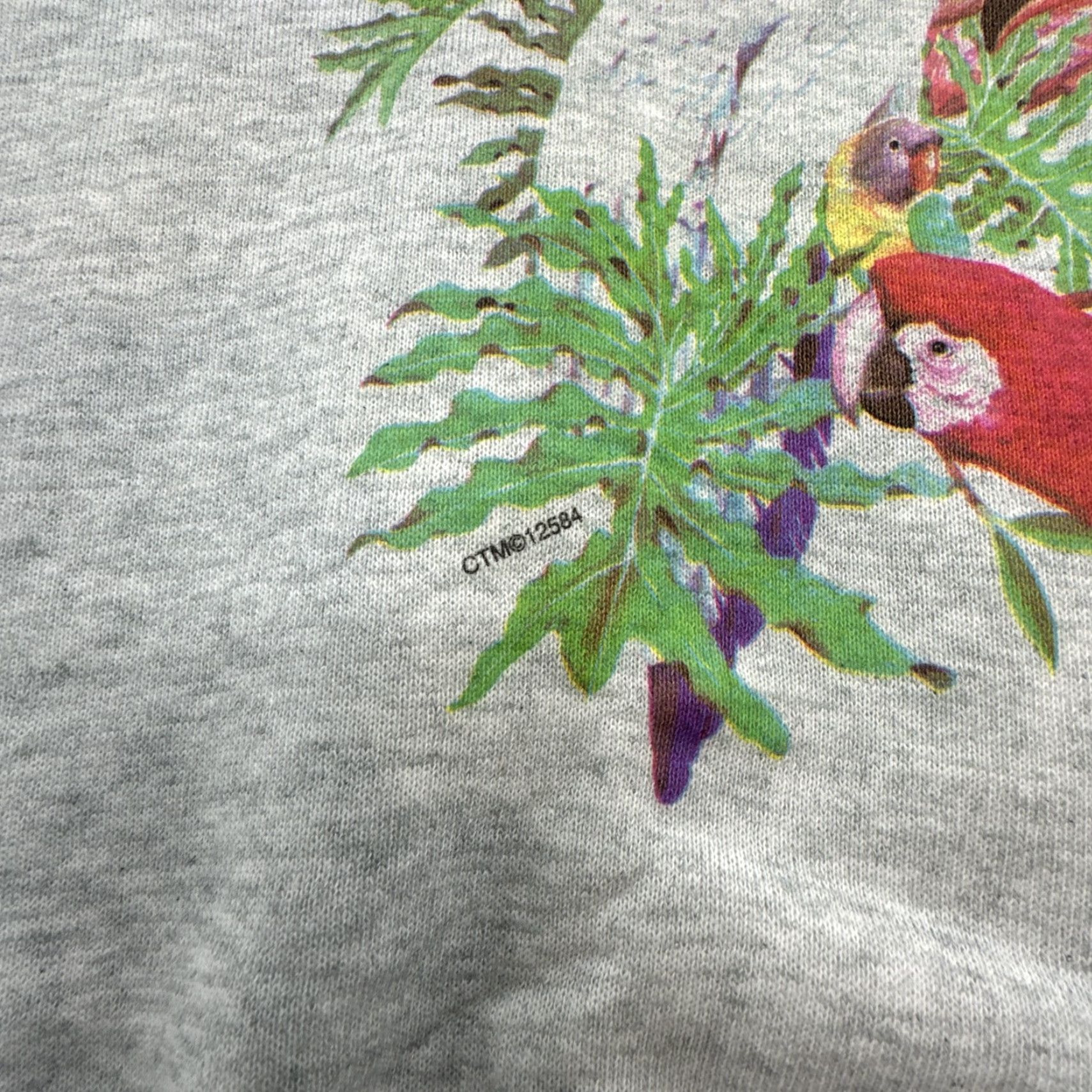 Fruit Of The Loom VINTAGE Fruit of the Loom Sweatshirt Parrot Nature 90s Crewneck Gray Size S / Small Men Ducks Wildlife Distressed Logo Polo? Size US S / EU 44-46 / 1 - 3 Thumbnail