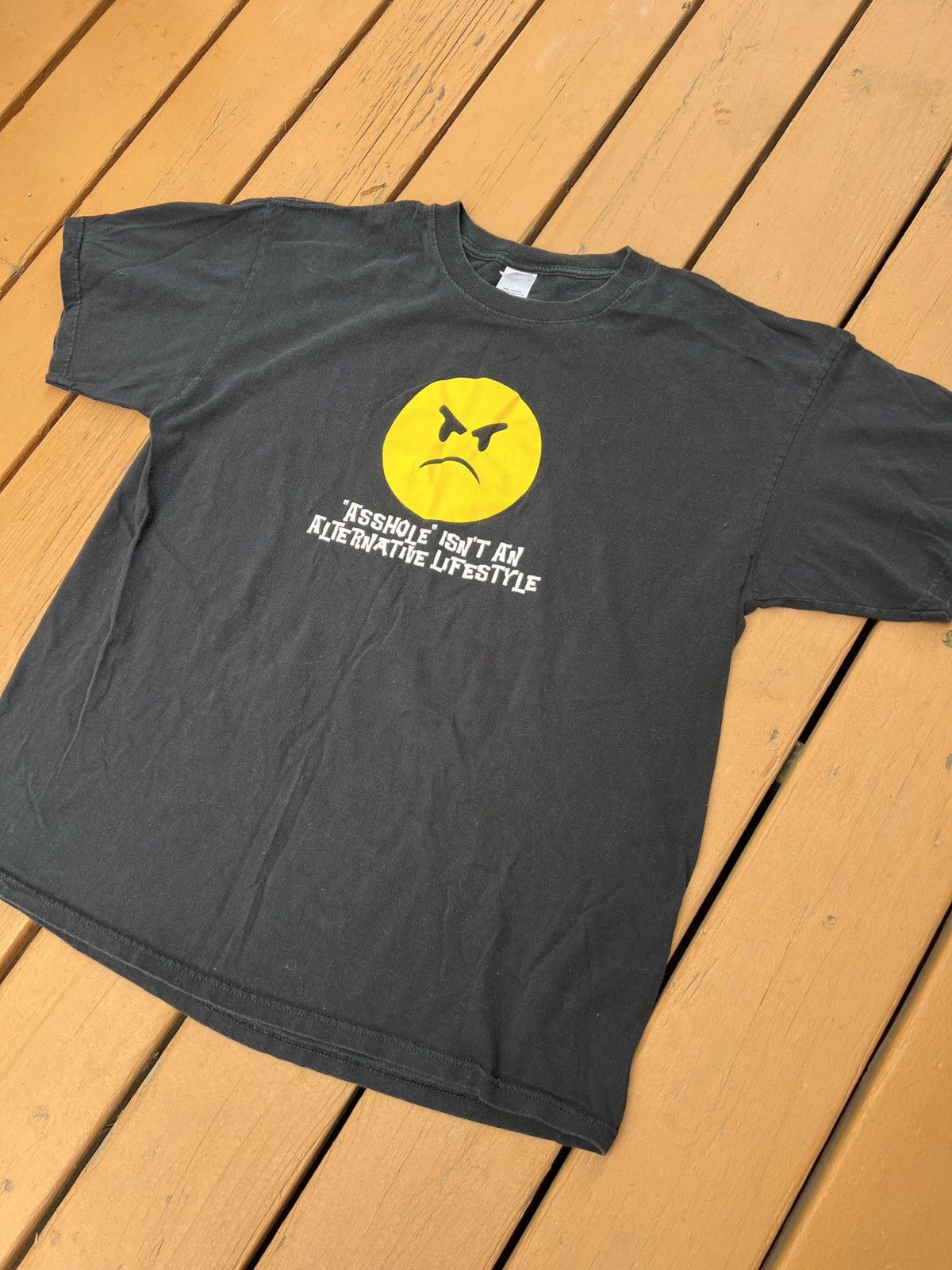 Anvil × Vintage Y2K Vintage “Asshole Isn’t an Alternate Lifestyle” Tee Size US XL / EU 56 / 4 - 2 Thumbnail