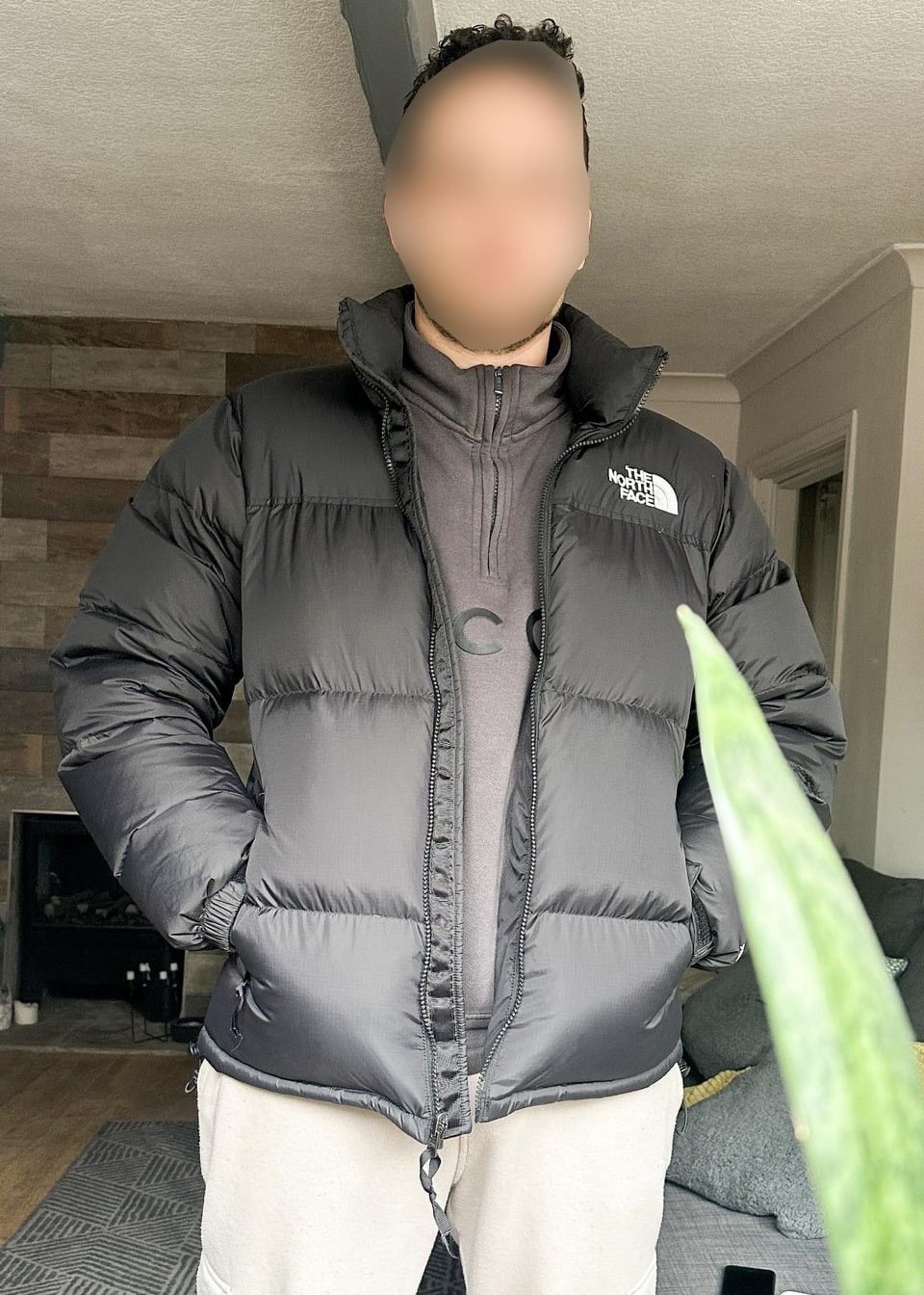 The North Face North face puffer jacket Size US M / EU 48-50 / 2 - 2 Thumbnail