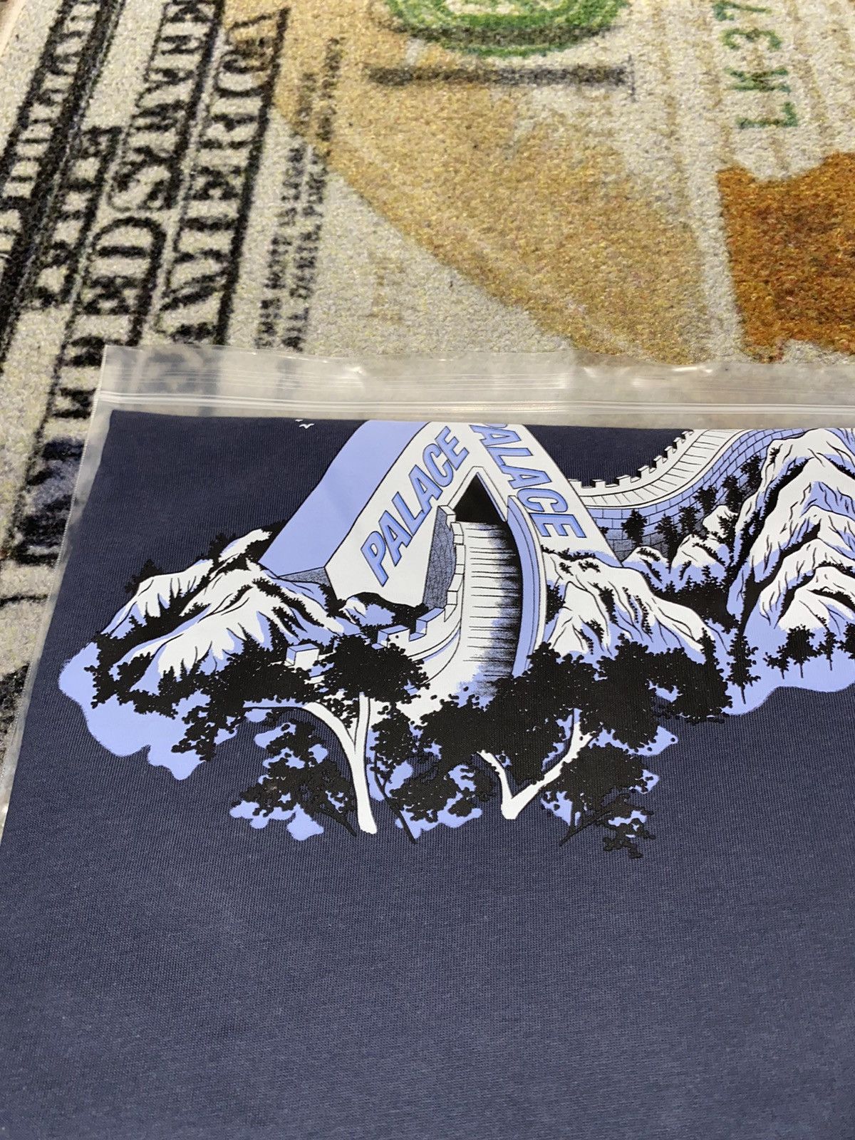 Palace Palace Great Wall of Tri-Na Tee Size US XL / EU 56 / 4 - 3 Thumbnail