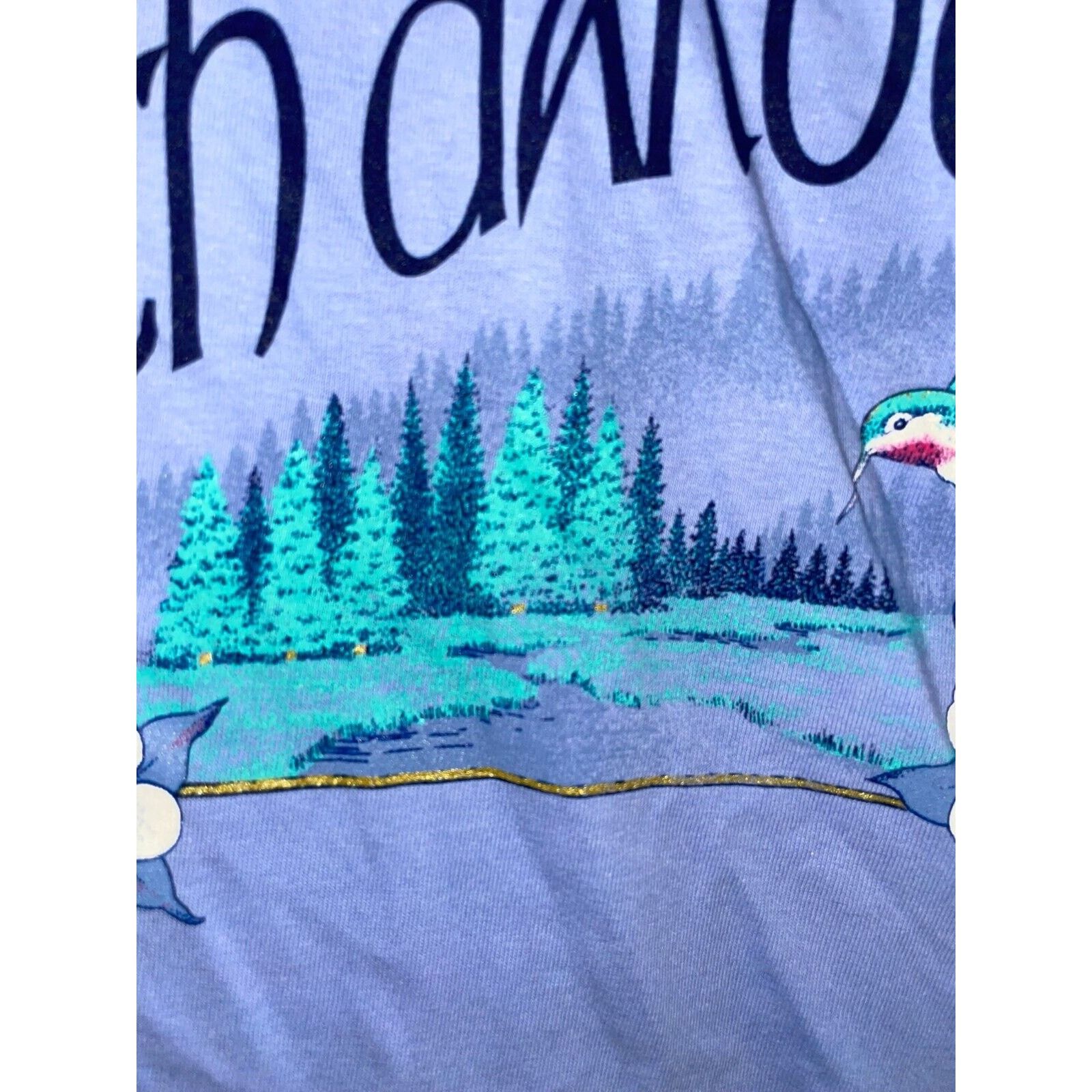 Jerzees Vintage North Dakota Shirt Mountain Hummingbird Tee 90s L Size US L / EU 52-54 / 3 - 5 Thumbnail