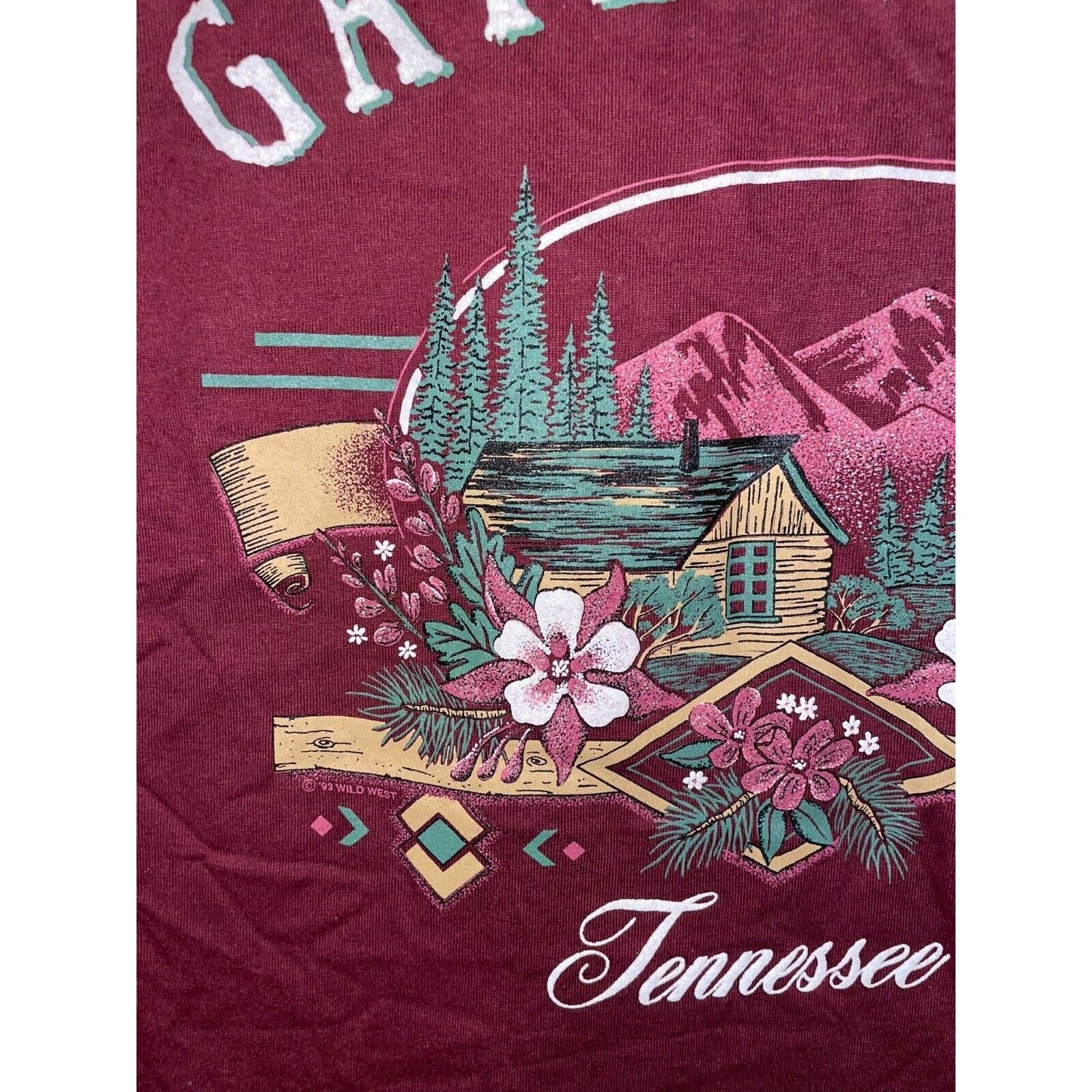 Jerzees Vintage Gatlinburg Tennessee Shirt Cabin Mountain VTG Tee L Size US L / EU 52-54 / 3 - 2 Thumbnail