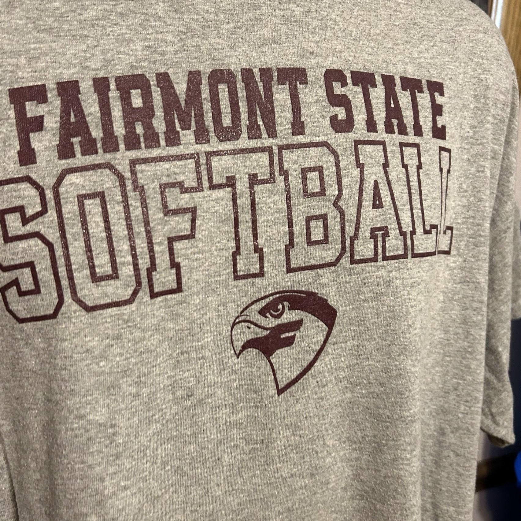 Gildan VINTAGE Fairmont State Falcons Softball Shirt Men XL Gray Short Sleeve Gildan Dryblend Size US XL / EU 56 / 4 - 3 Thumbnail