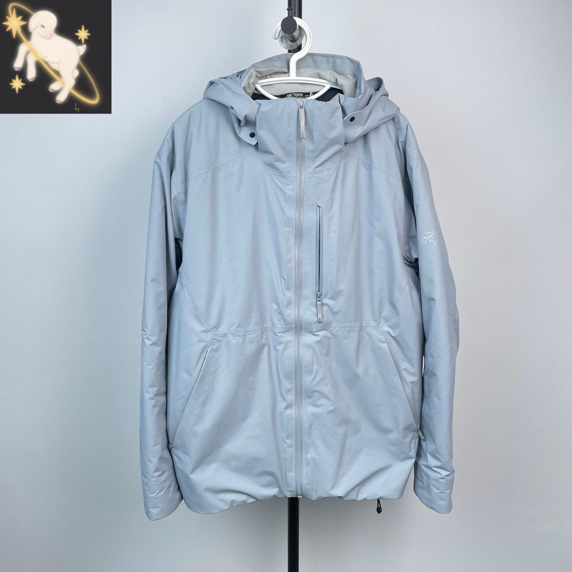 Arc'teryx Arcteryx RALLE Gore-tex Insulated Jacket Size US L / EU 52-54 / 3 - 1 Thumbnail