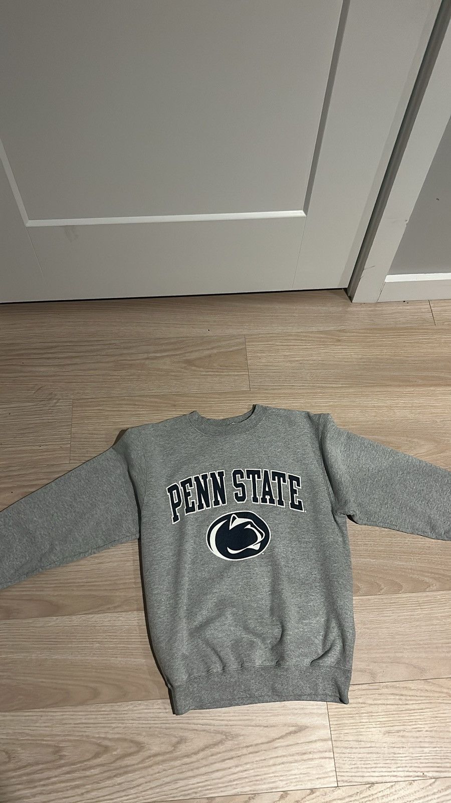Champion PENN STATE SWEATER Size US M / EU 48-50 / 2 - 3 Thumbnail