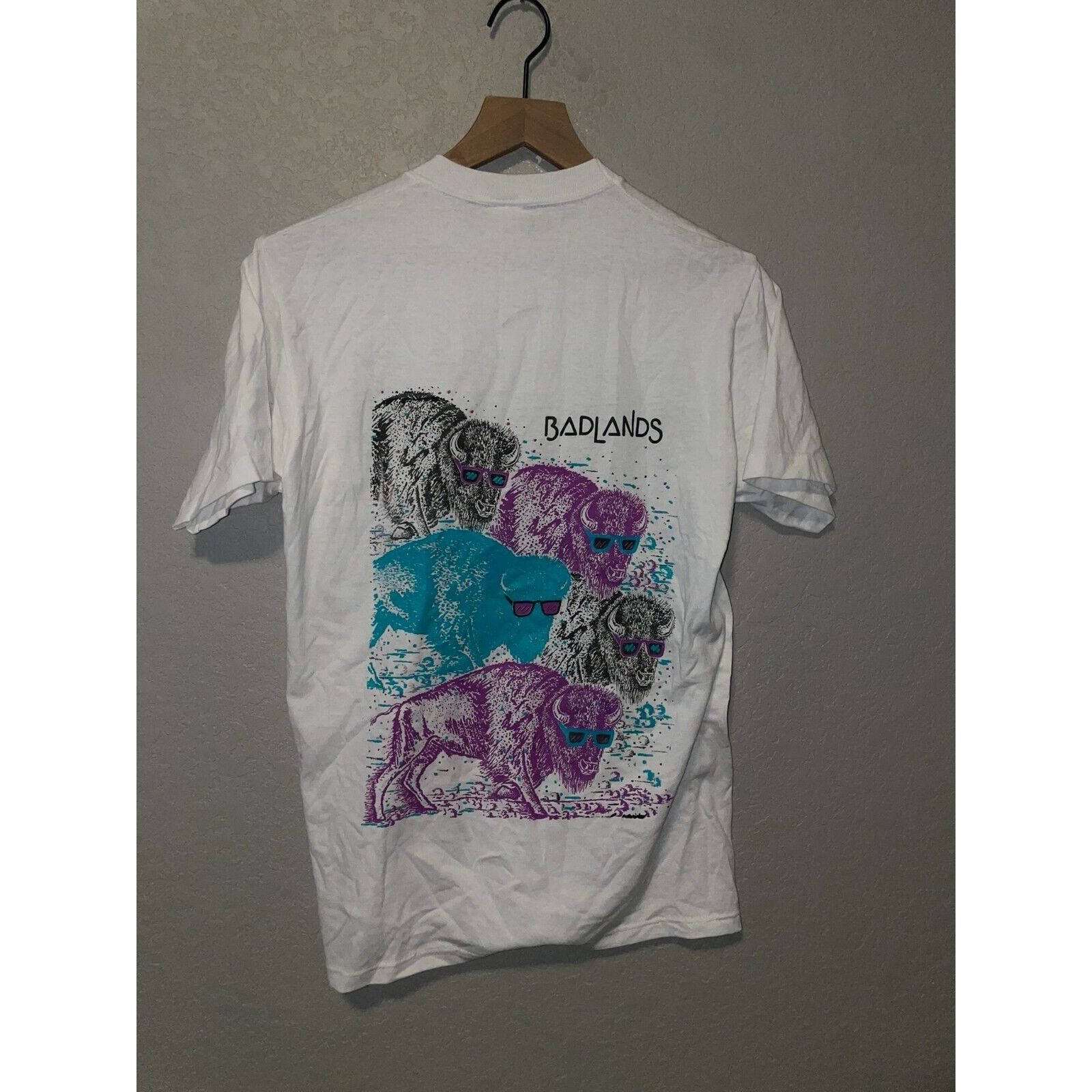 Jerzees Vintage Big Sky Shirt Badlands Buffalo Tee Test Print 90s M Size US M / EU 48-50 / 2 - 8 Thumbnail