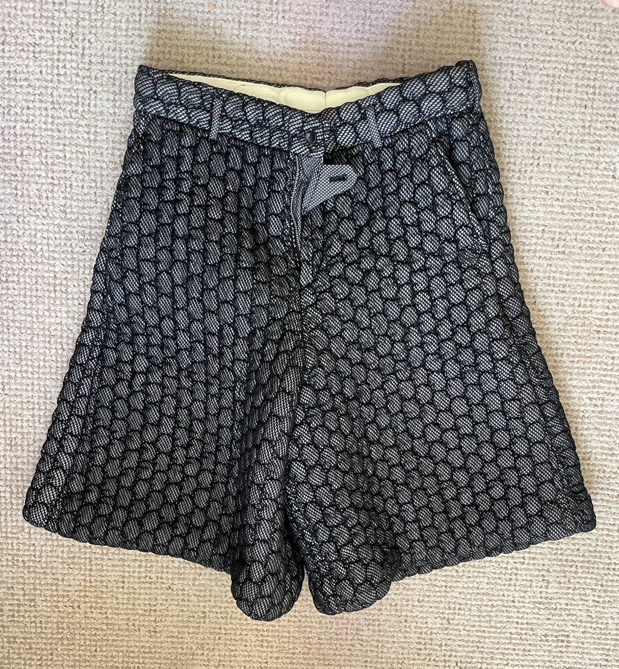 Comme des Garcons Comme des Garçons Homme Plus FW22 shorts. Size US 36 / EU 52 - 1 Thumbnail