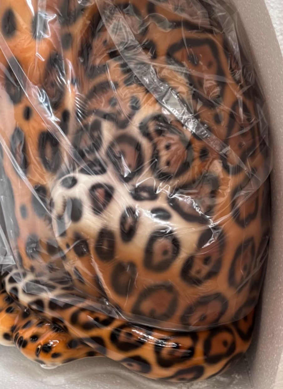 Supreme Supreme Monumental Porcelain Jaguar Sculpture SS 2023 Size ONE SIZE - 6 Thumbnail