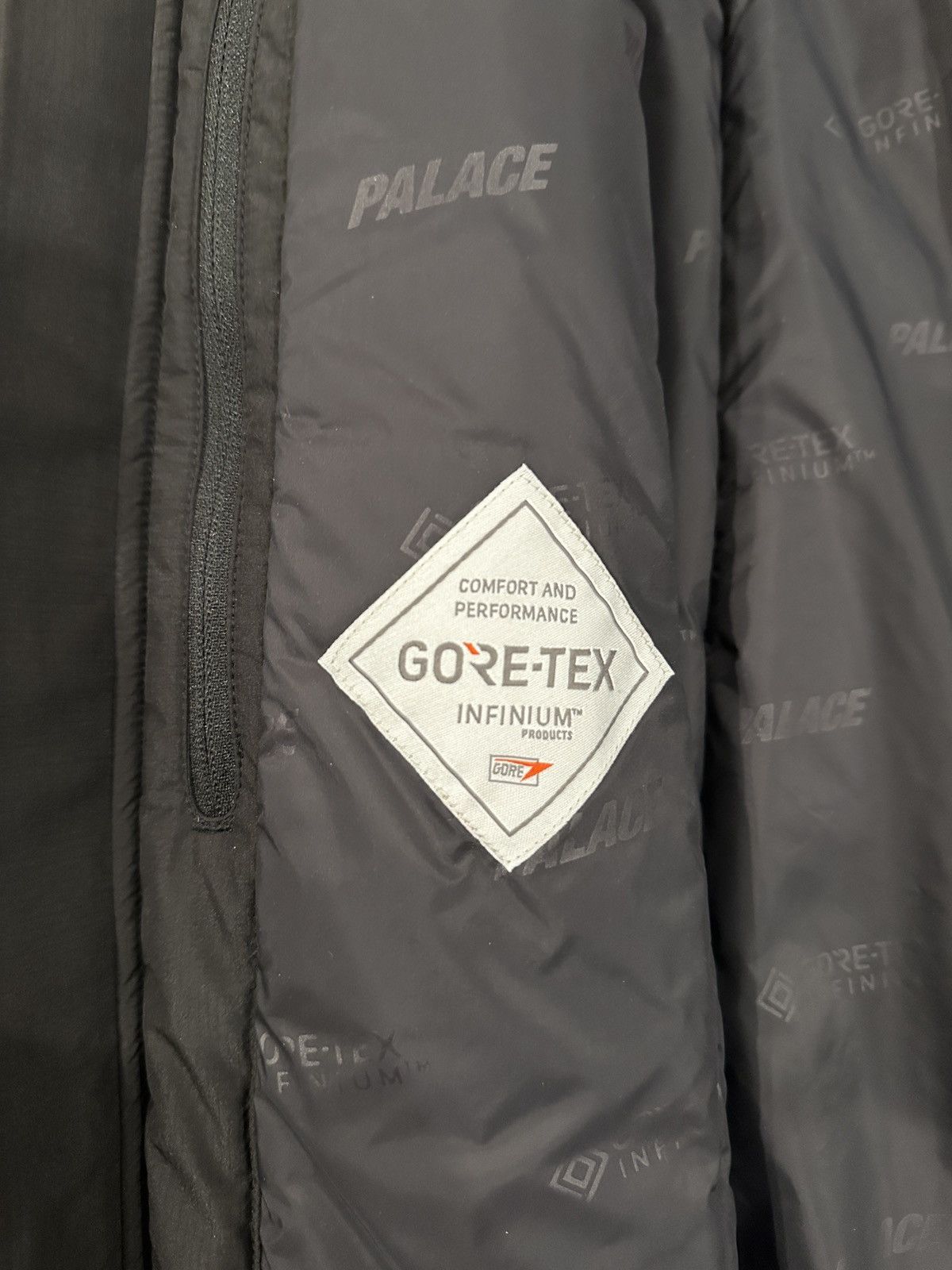 Palace Palace GORE-TEX INFINIUM LOFT JACKET Size US M / EU 48-50 / 2 - 4 Thumbnail