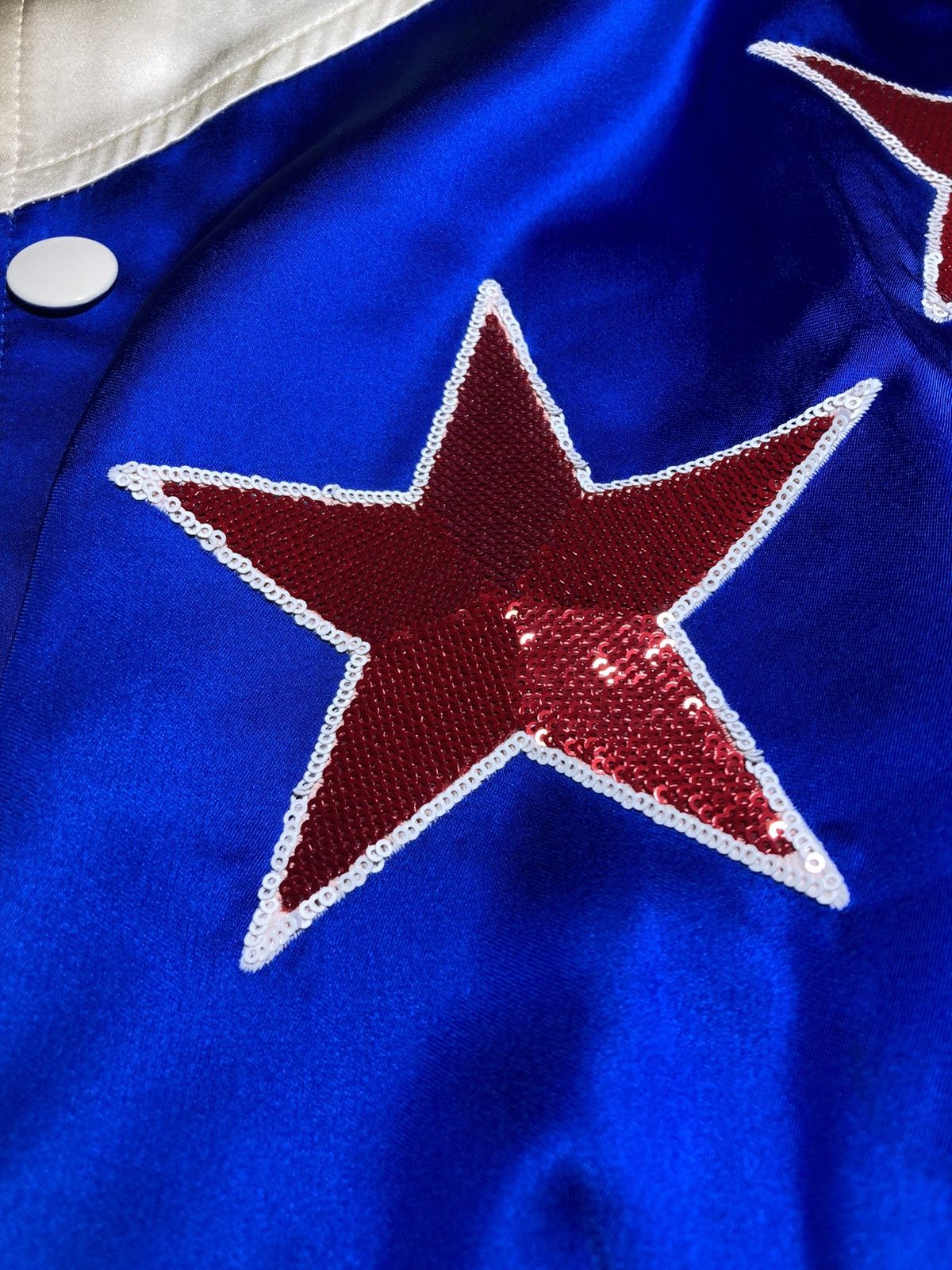 Celine New SS23 Celine Americana Teddy Sequin Bomber 2023 Hedi 46 Size US S / EU 44-46 / 1 - 4 Thumbnail