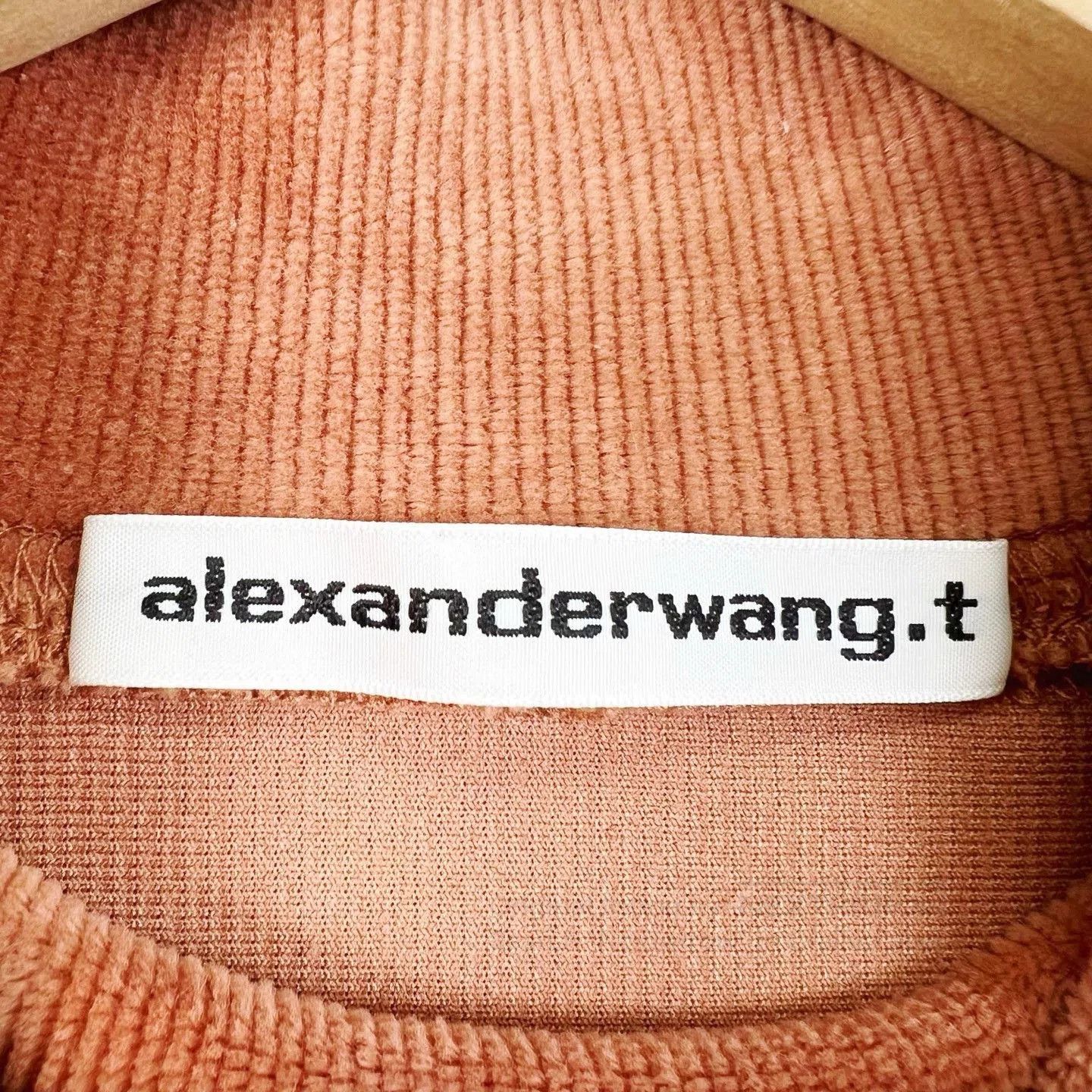 Alexander Wang Alexander Wang Brown Corduroy Mock Neck T-shirt. Size XS / US 0-2 / IT 36-38 - 4 Thumbnail