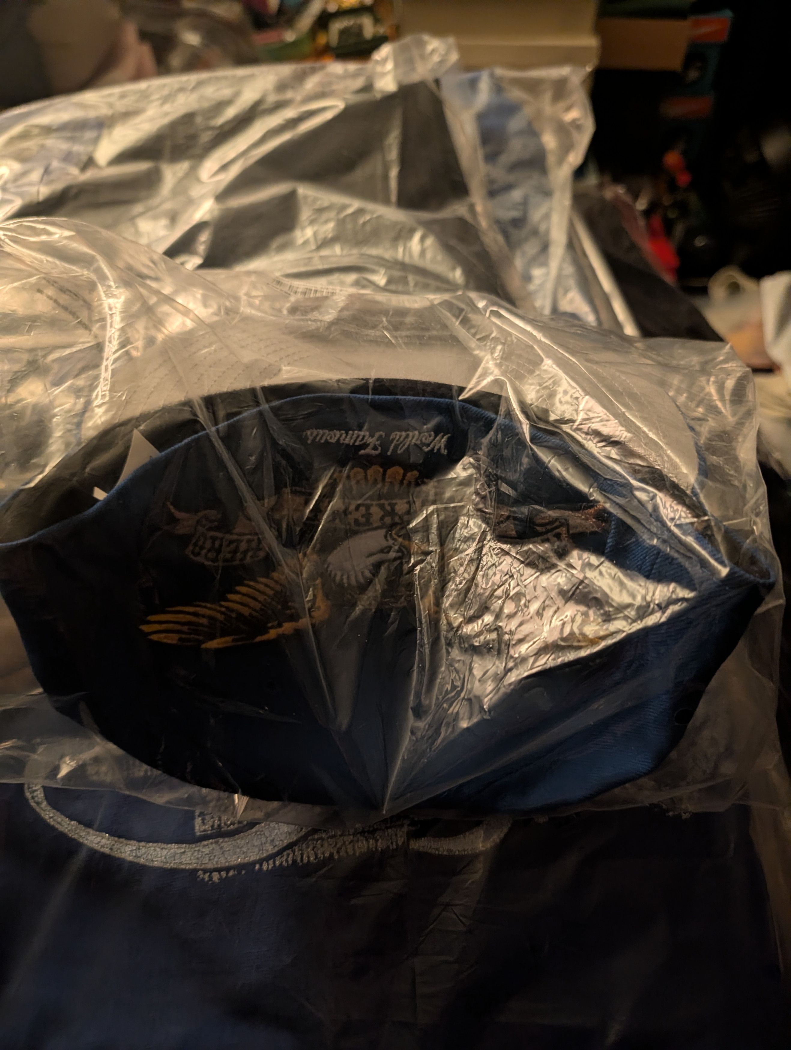 Supreme Supreme AINTHERO Logo Fitted Hat FW25 Royal 7 5/8 Size ONE SIZE - 5 Thumbnail