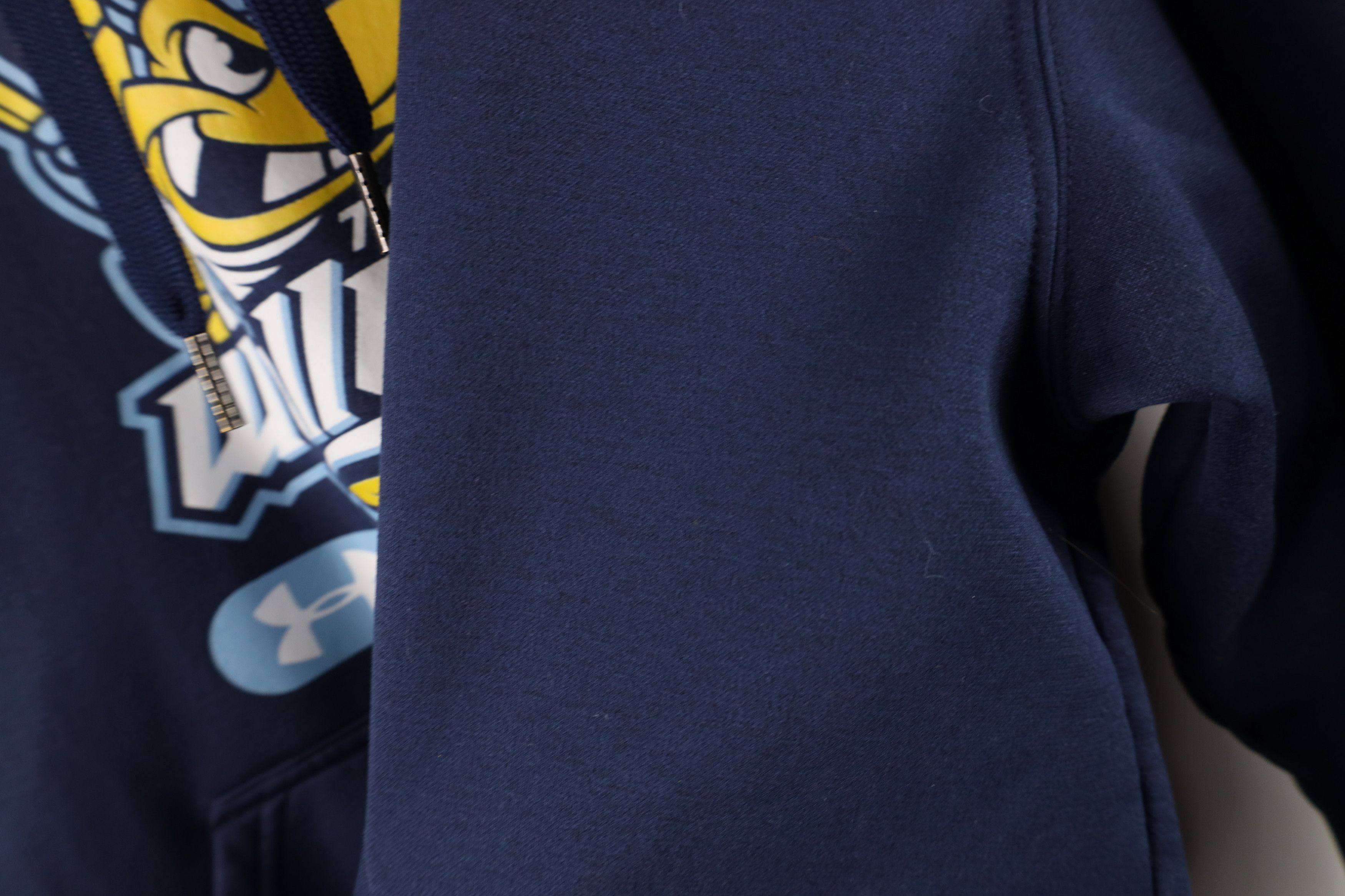 Under Armour × Vintage Under Armour Toledo Walleye Hockey Hoodie Sweatshirt Blue Size US L / EU 52-54 / 3 - 9 Thumbnail