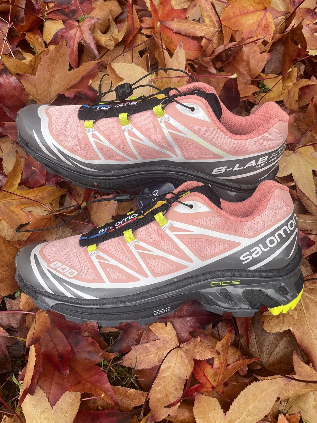 image of Salomon Xt-6 Blooming Dahlia Shoes in Pink, Men's (Size 9)