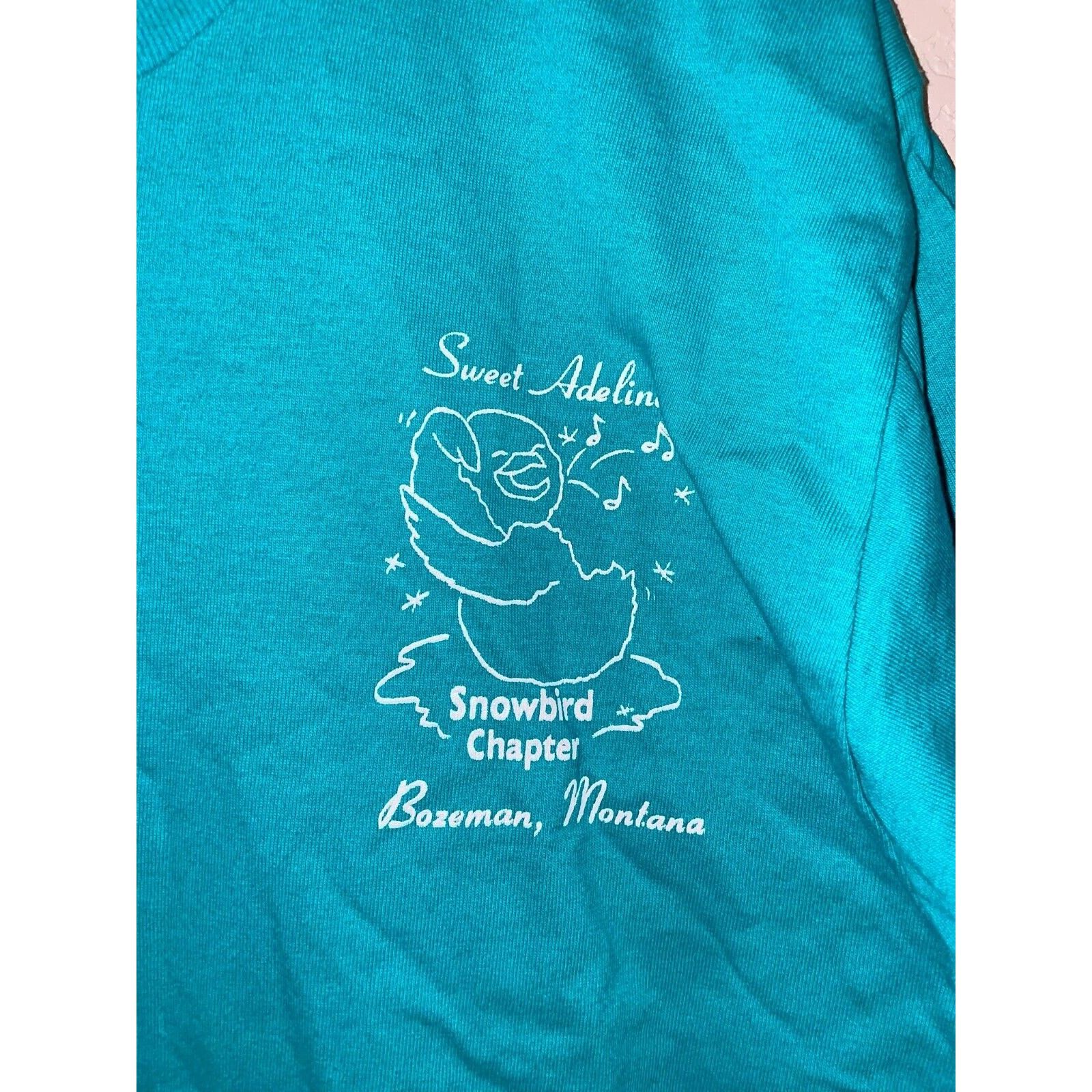 Jerzees Vintage Sweet Adelines Shirt Snowbird Chapter Teal VTG 90s M Size US M / EU 48-50 / 2 - 2 Thumbnail
