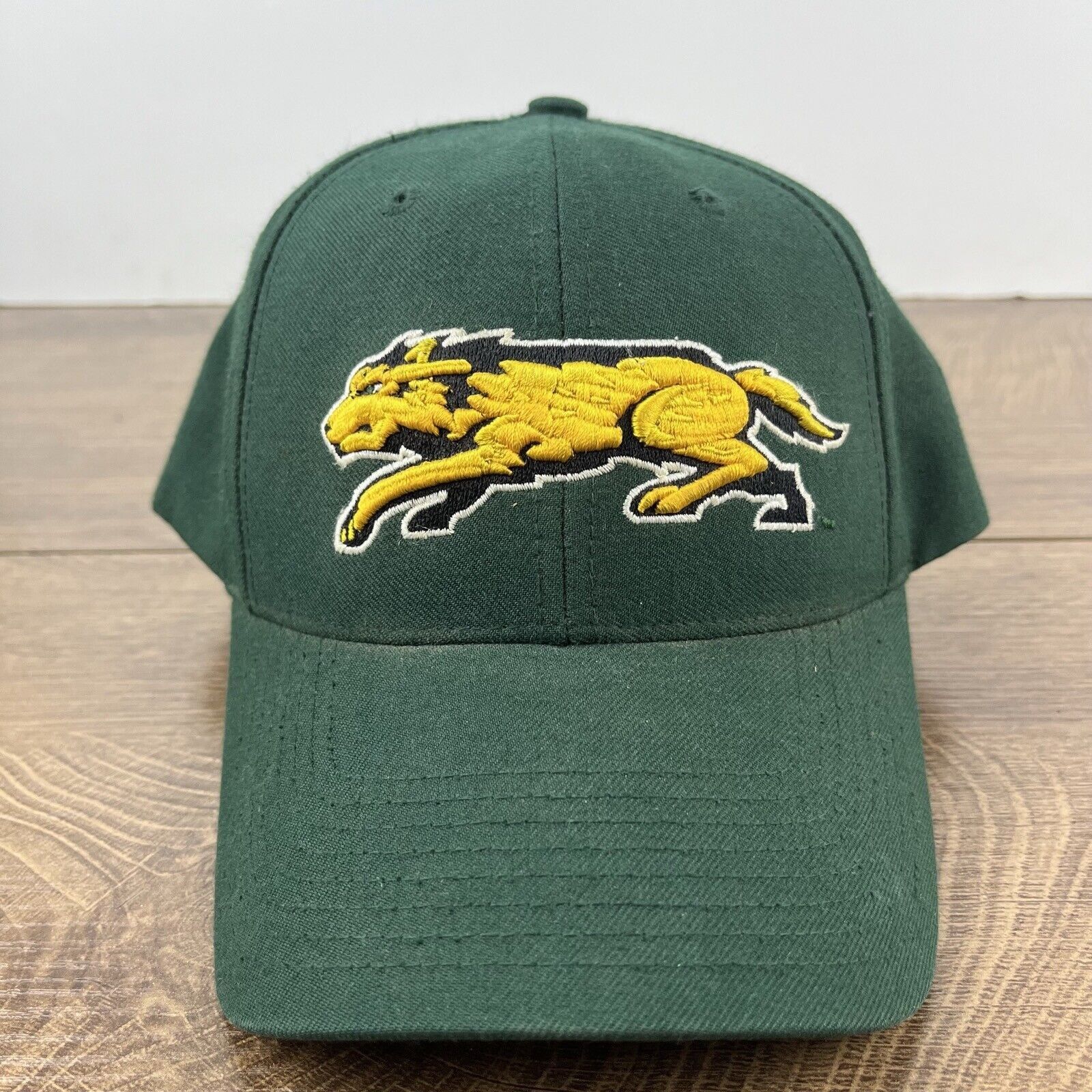 Other Wright State Raiders Green Hat NCAA Green Hat Adjustable Hat Size ONE SIZE - 5 Thumbnail