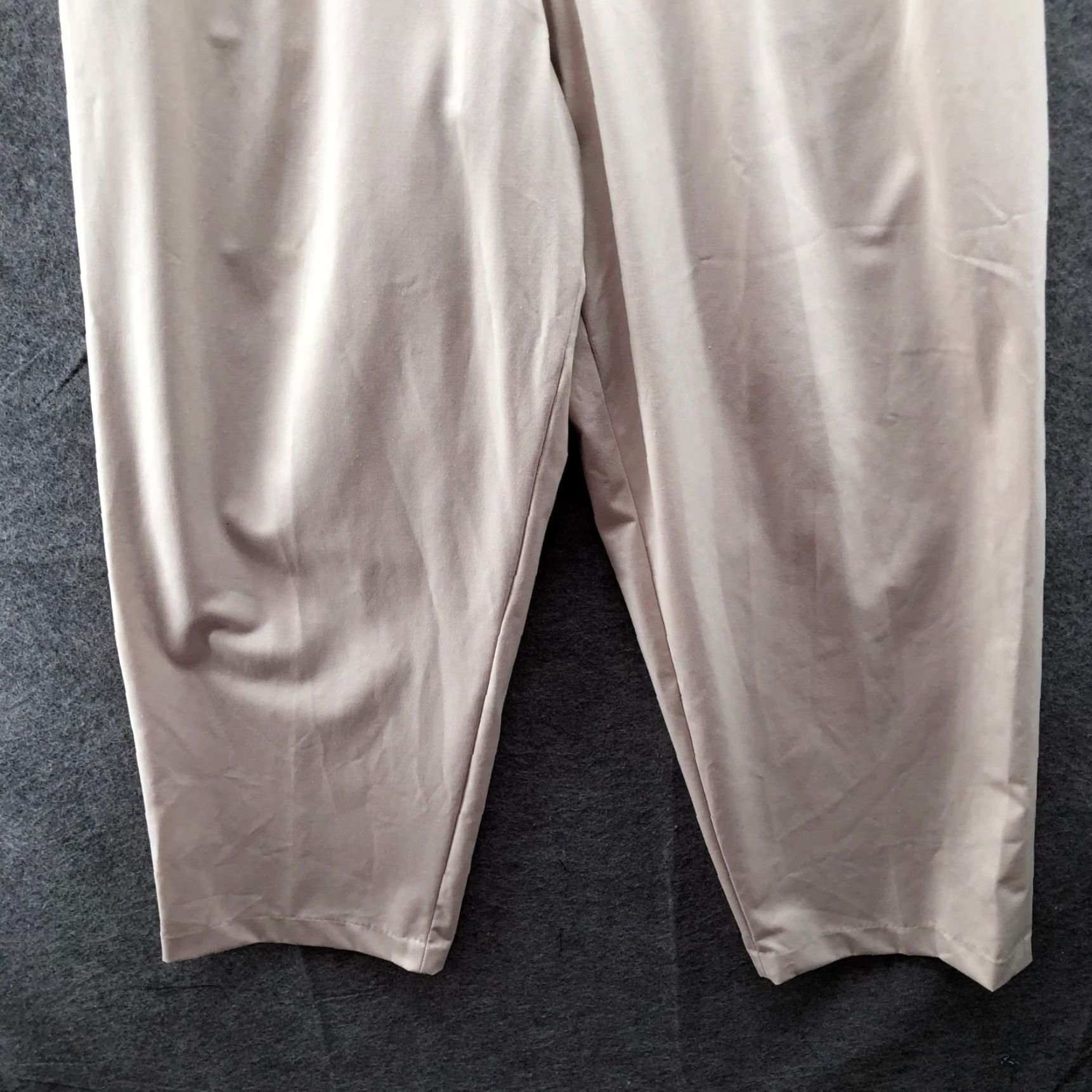 Zara Zara Wide Leg Pleated Front Dress Pants Womens L Beige High Waisted Trouser Pants Size 36" / US 14 / IT 50 - 4 Thumbnail