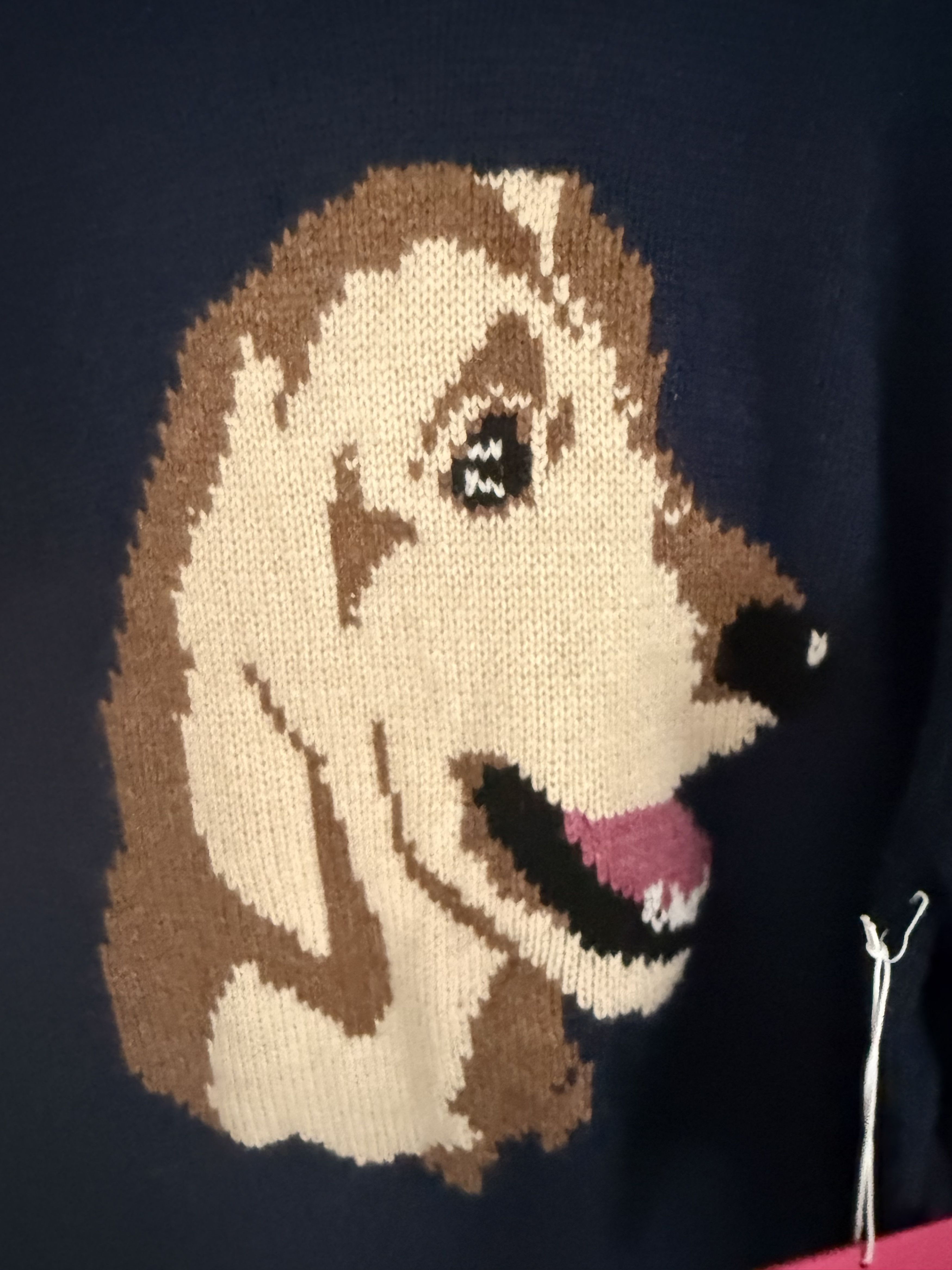 The Elder Statesman he Elder Statesman Retriever Raglan Sweater Navy Size US XL / EU 56 / 4 - 4 Thumbnail