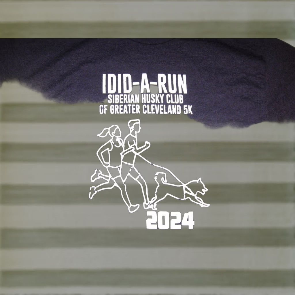 Gildan Siberian Husky Club IDID-A-RUN 2024 T Shirt CLEVELAND 5K MARATHON Men's Medium Size US M / EU 48-50 / 2 - 1 Thumbnail