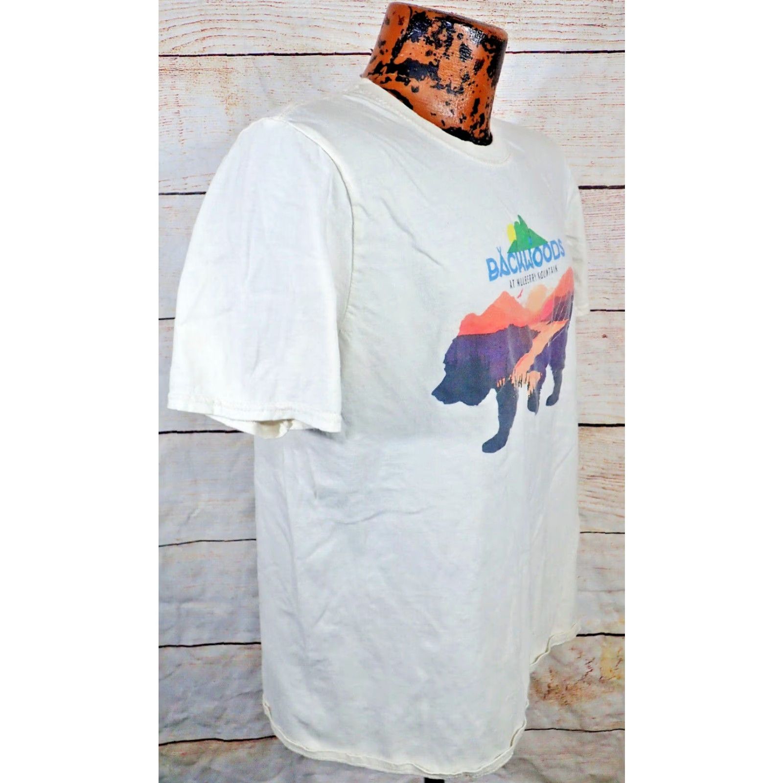 Gildan Backwoods Mulberry Mountain 2021 Music Festival Gildan Adult Medium T-Shirt Graphic Print White Band Tour 2020s Mens Size US M / EU 48-50 / 2 - 3 Thumbnail