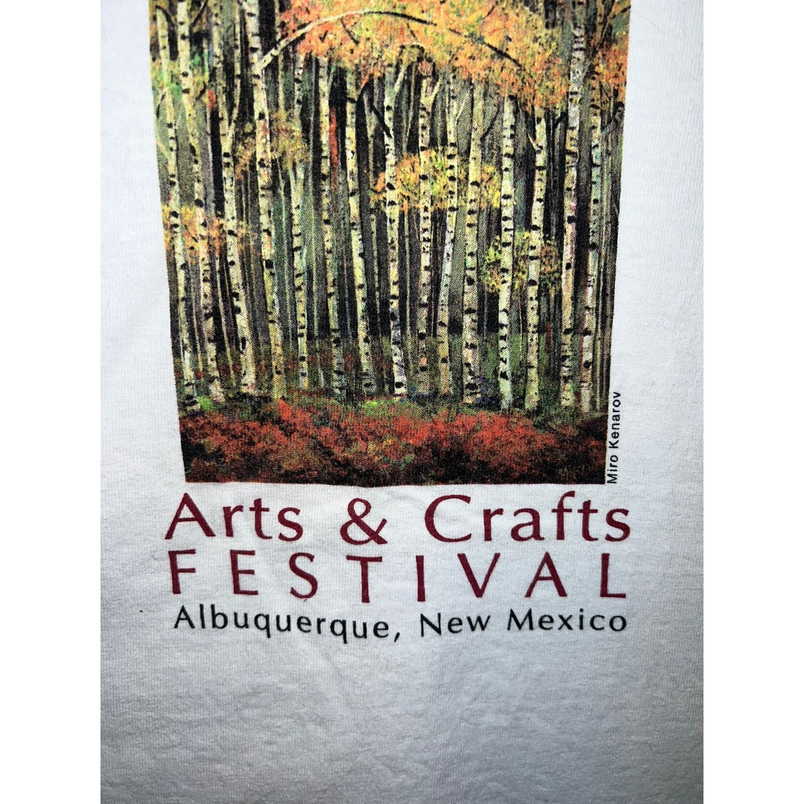 Port & Company Vintage Arts Festival Shirt Rio Grande Art Long Sleeve L Size US L / EU 52-54 / 3 - 4 Thumbnail