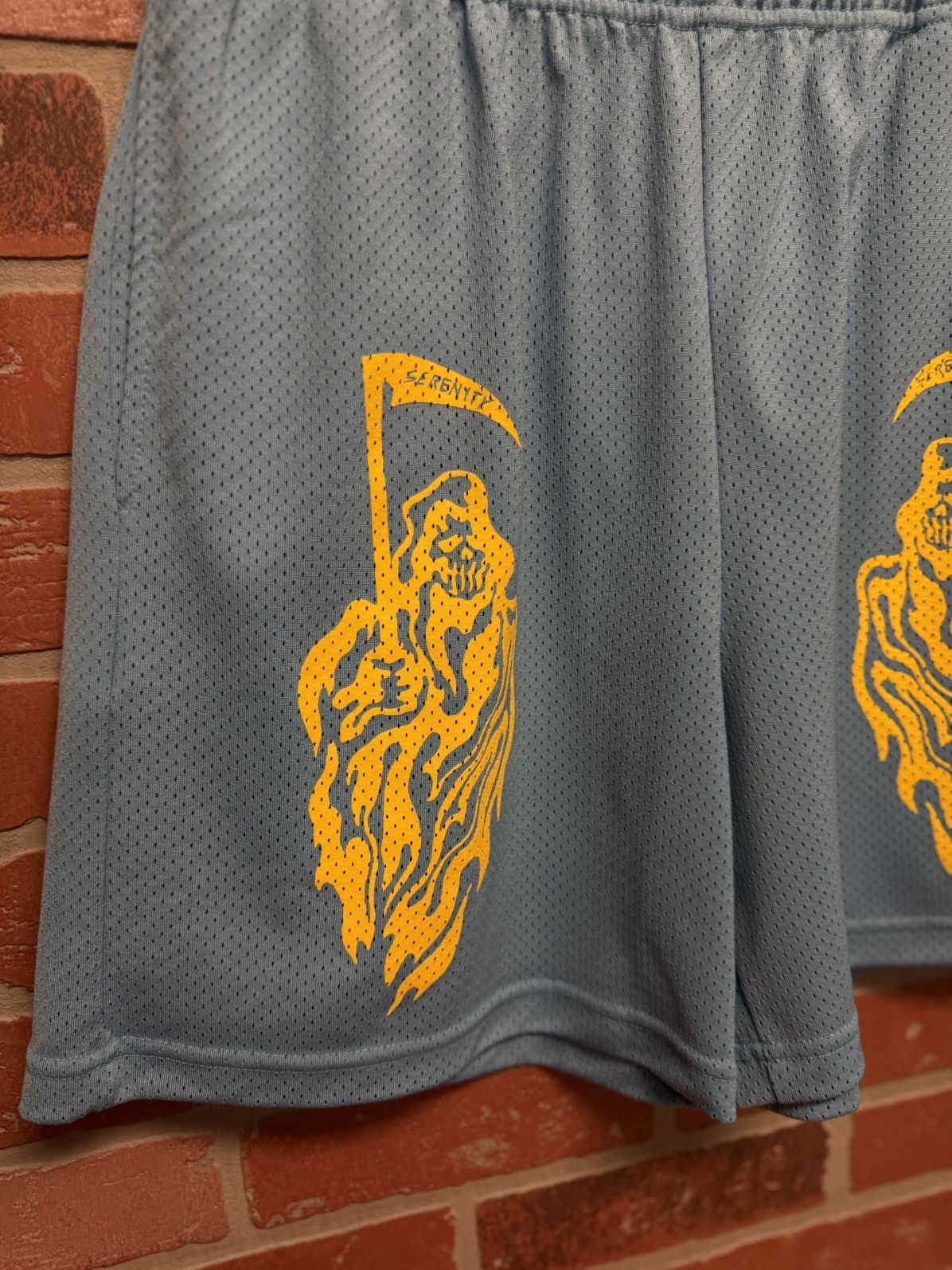 Eric Emanuel × Warren Lotas EE x Warren Lotas Mesh Shorts Size Large (NEW) Size US 30 / EU 46 - 4 Thumbnail