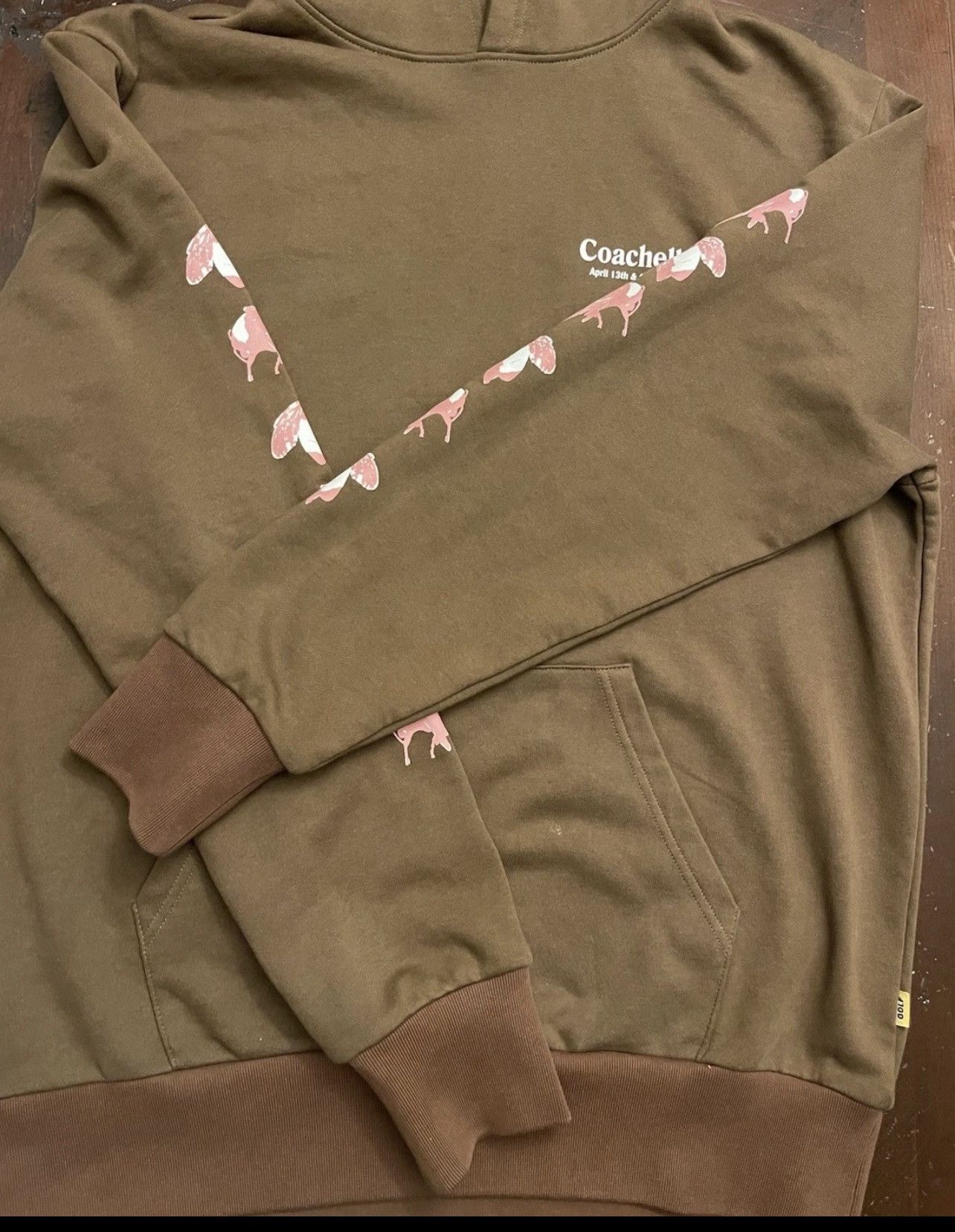 Golf Wang Golf Wang Coachella 2024 Save The Bees Hoodie Brown Large Size US L / EU 52-54 / 3 - 2 Thumbnail