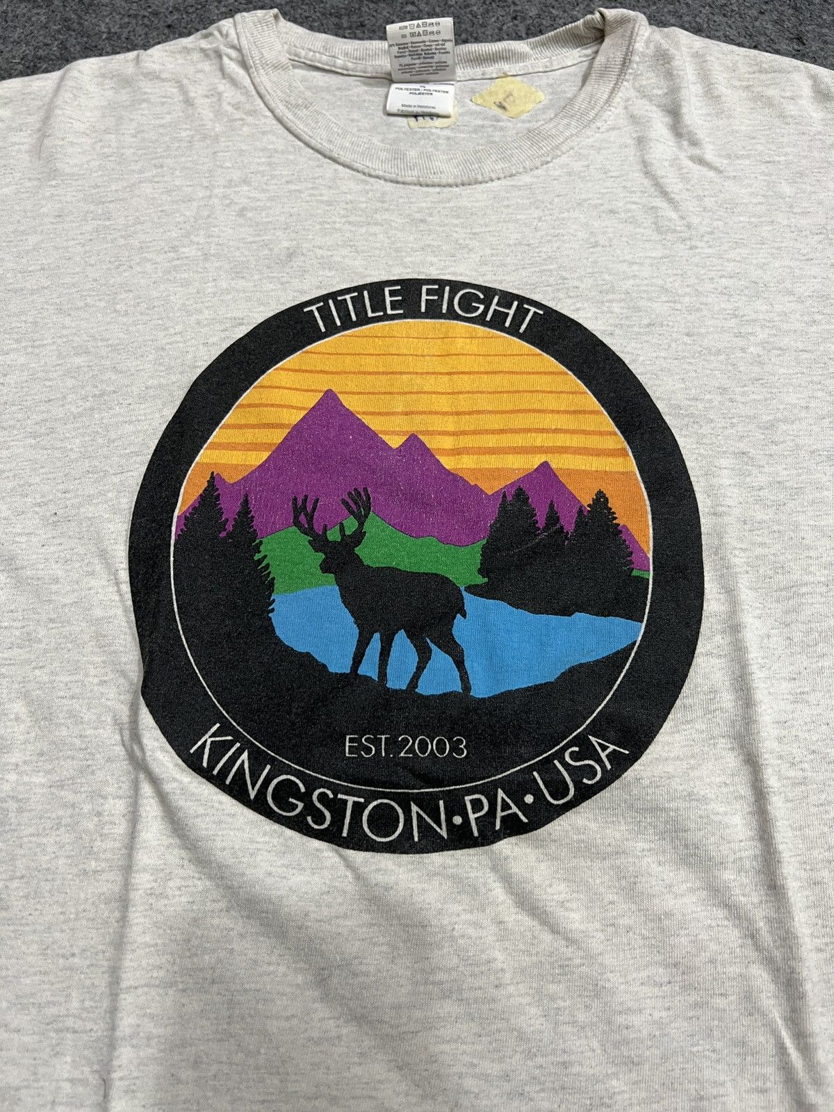 image of Band Tees x Rock Band Title Fight Kingston Hardcore Punk Vintage Tee Tshirt in Grey (Size Medium)