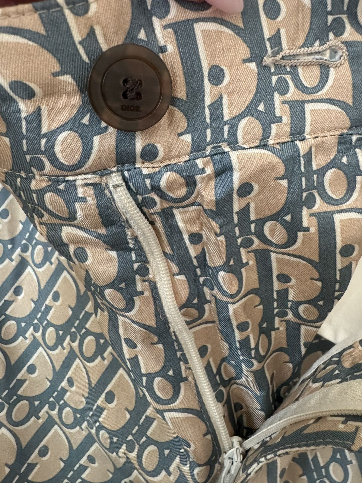 Dior Dior Oblique Silk Shorts Tan/Blue Size US 32 / EU 48 - 14 Thumbnail