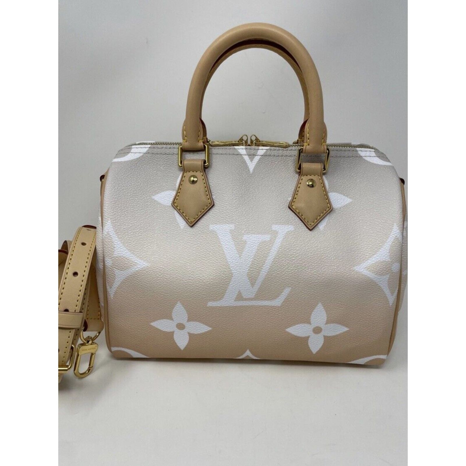Louis Vuitton Louis Vuitton Speedy 25 Bandouliere By The Pool Brume Mist Size ONE SIZE - 4 Thumbnail