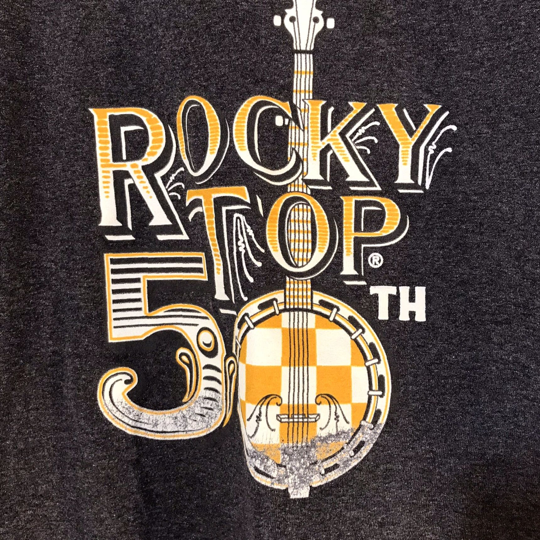 Port & Company Port & Company Tennessee Volunteers Rocky Top 50th Anniversary Gray Graphic T-Shirt Women's Size L Size L / US 10 / IT 46 - 2 Thumbnail