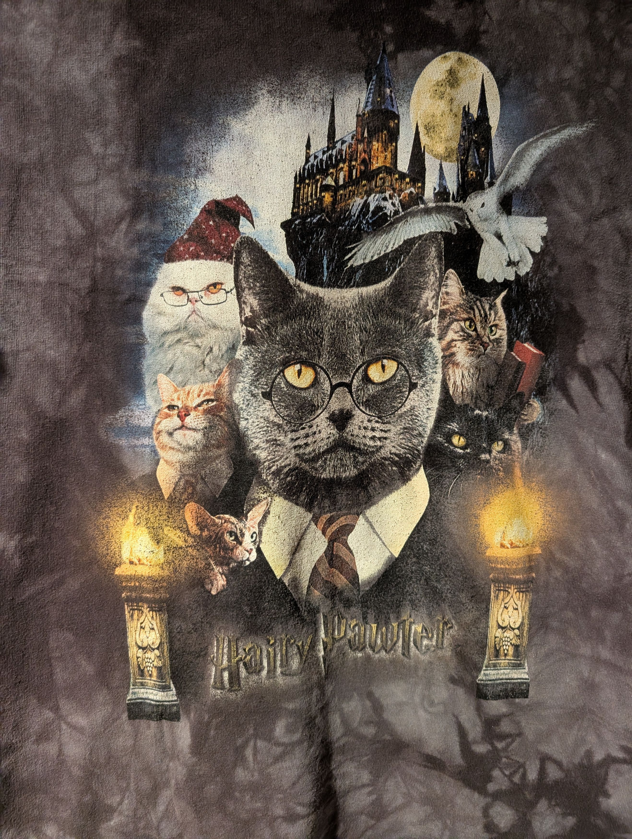 The Mountain The Mountain Harry Pawter Cat T Shirt Harry Potter Parody Size US M / EU 48-50 / 2 - 2 Thumbnail