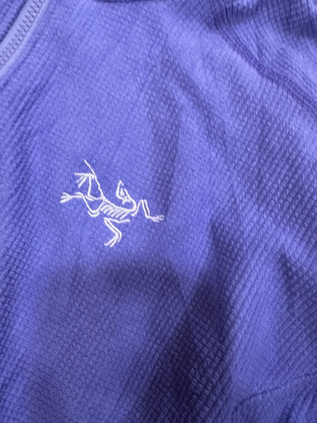 Arc'teryx Arc’teryx women’s delta lt fleece size L Size L / US 10 / IT 46 - 3 Thumbnail