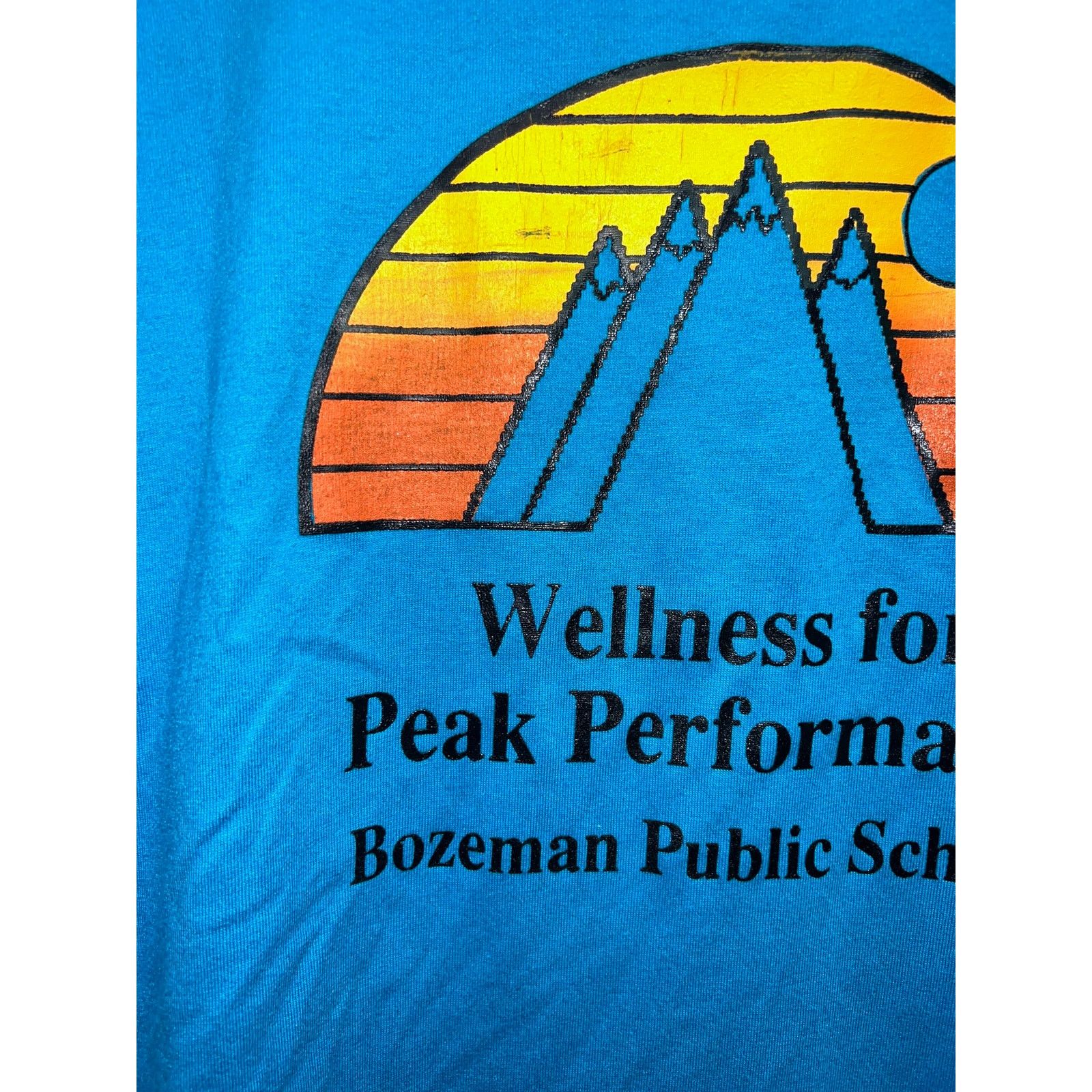 Jerzees Vintage Public School Performance Shirt Wellness Fitness Tee Size US L / EU 52-54 / 3 - 3 Thumbnail