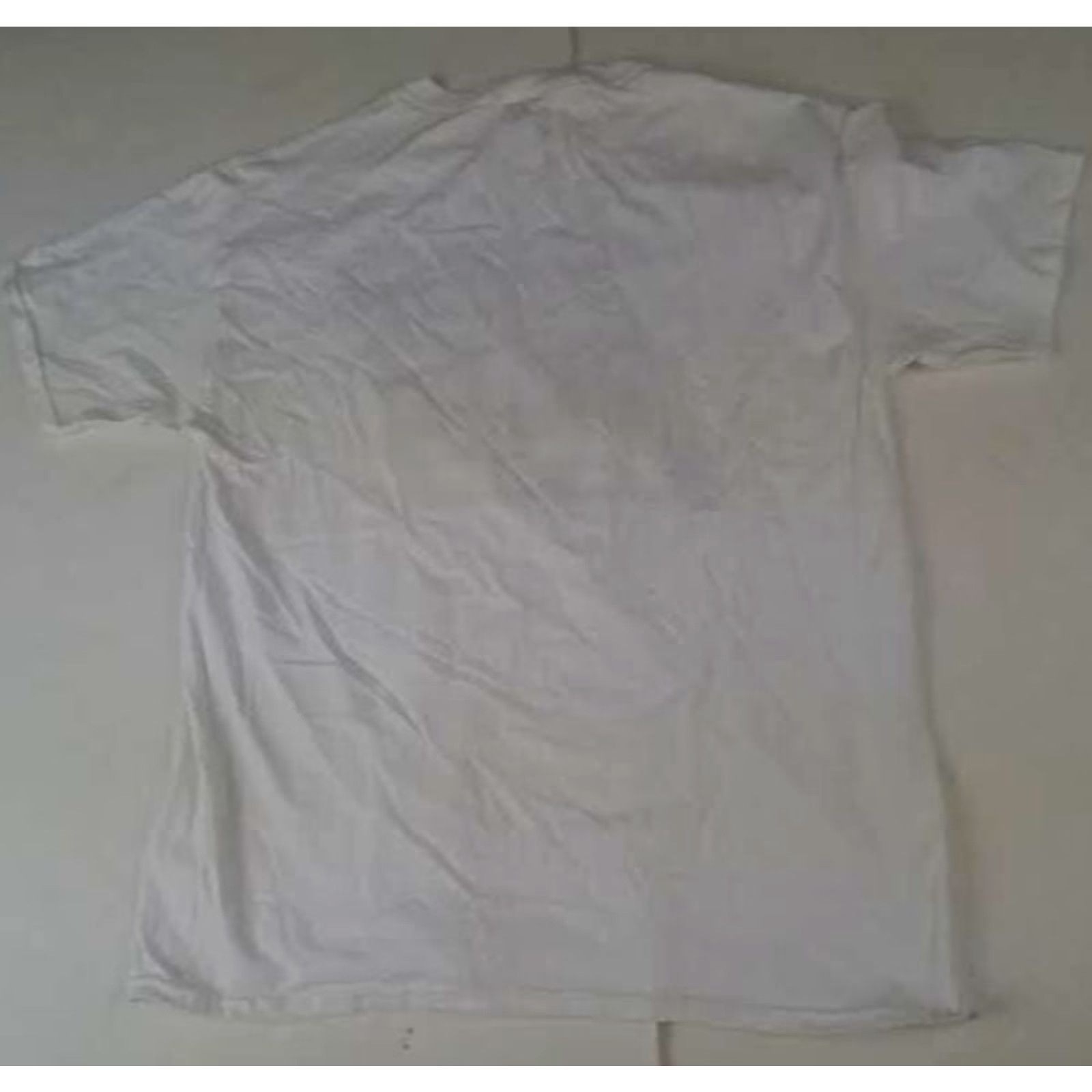 Fruit Of The Loom VINTAGE Michigan Detroit Panthers USFL White Fruit of the Loom Large T-Shirt Unisex Adults L Short Sleeve White Sports Mens Womens Boys Girls Size US L / EU 52-54 / 3 - 4 Thumbnail