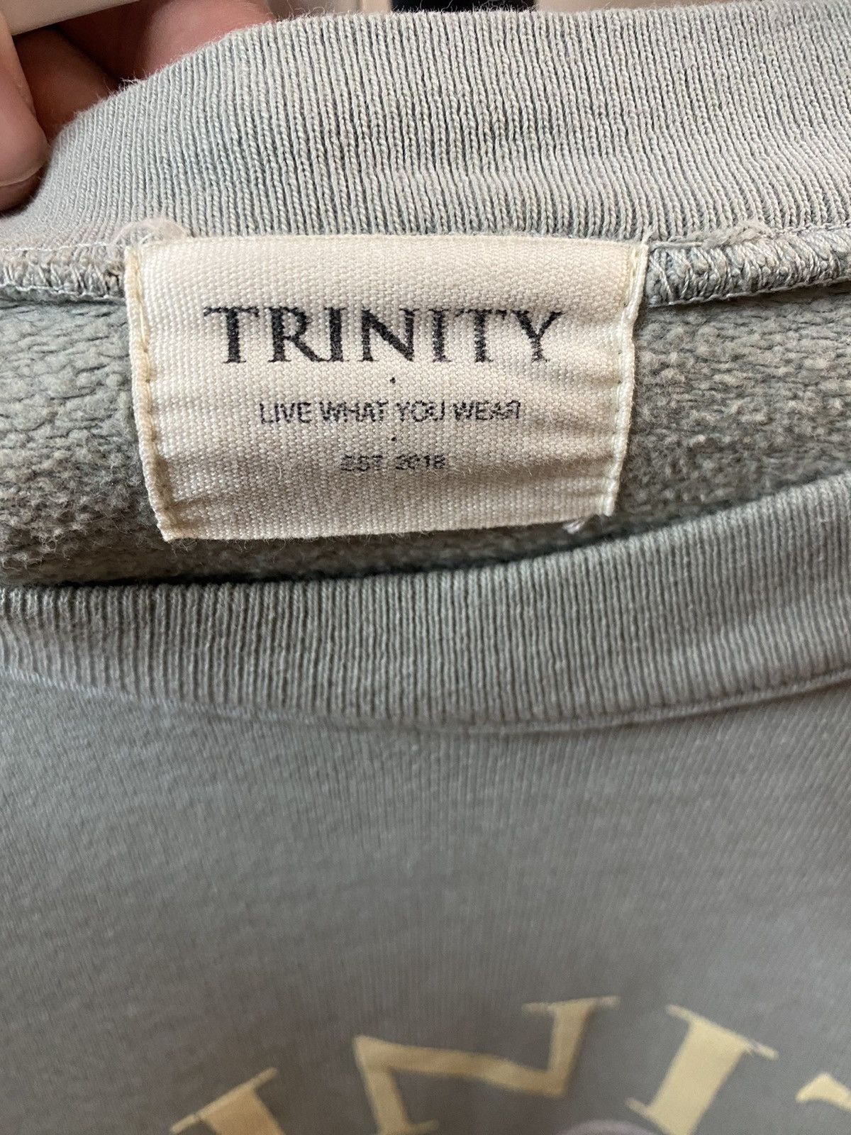 Trinity The Label Trinity the Label crewneck Size US L / EU 52-54 / 3 - 3 Thumbnail