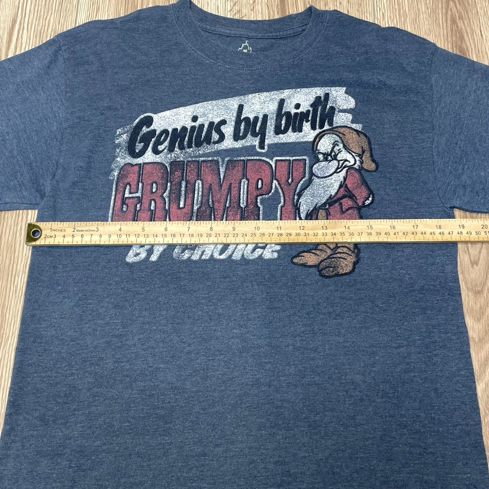 Hanes VINTAGE Hanes T-Shirt Men Medium Gray Cotton Blend Short Sleeve Disneyland “Genius By Birth Grumpy By Choice” Size US M / EU 48-50 / 2 - 6 Thumbnail