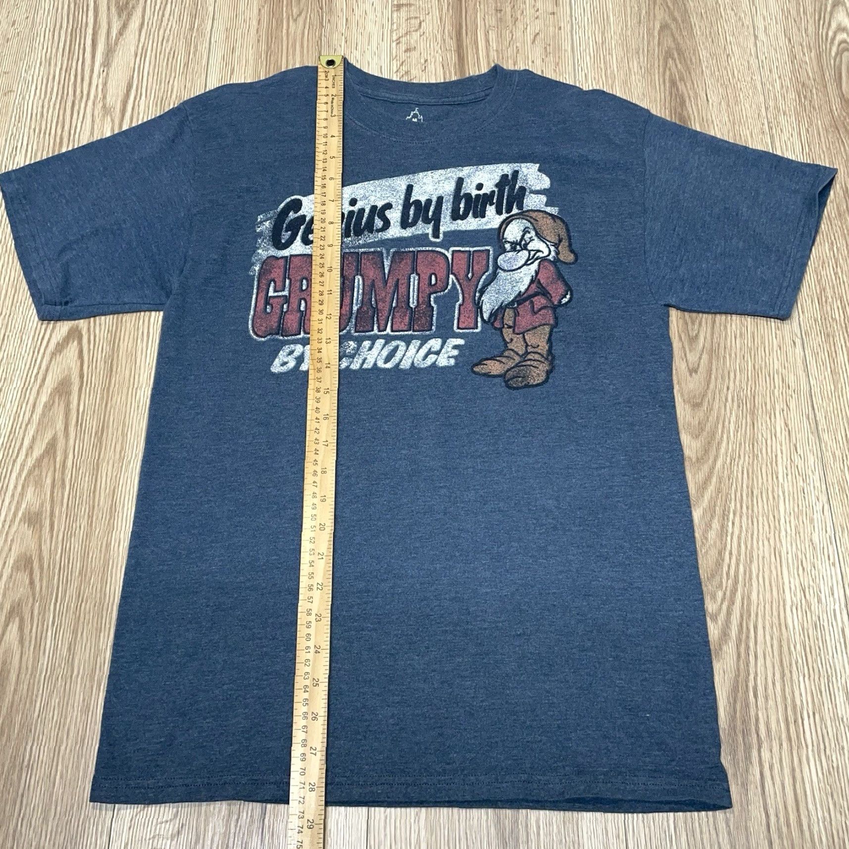 Hanes VINTAGE Hanes T-Shirt Men Medium Gray Cotton Blend Short Sleeve Disneyland “Genius By Birth Grumpy By Choice” Size US M / EU 48-50 / 2 - 4 Thumbnail