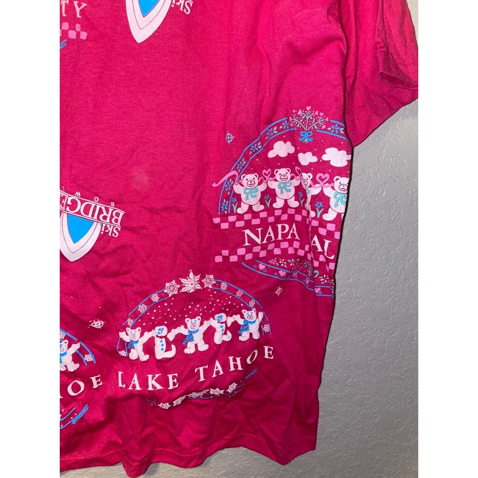Jerzees Vintage Test Print Shirt Lake Tahoe Napa Bears Tee VTG 90s L Size US L / EU 52-54 / 3 - 15 Thumbnail